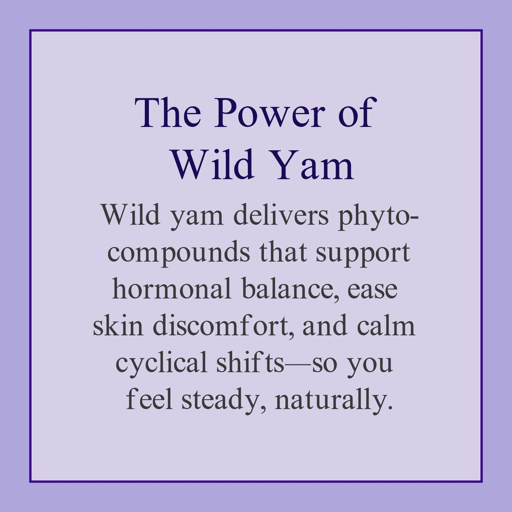 At Last Naturals Wild Yam Cream Hormone Balance for Women Menopause PMS Relief with Vitamin E Helps Smooth Dry Skin Reduce Hot Flashes and Promotes Well Being (2 oz 1 Packs) At Last Naturals Au supplements