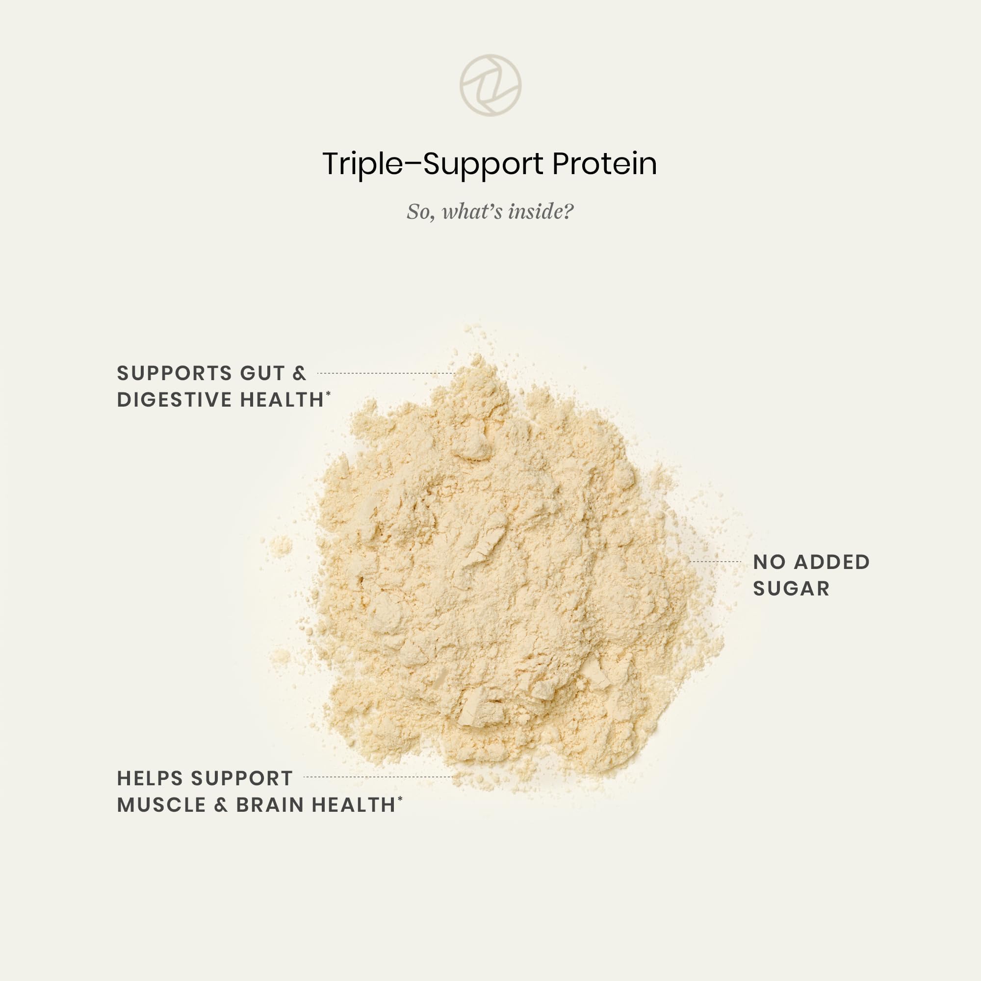 Perelel Triple-Support Plant Based Protein Powder, Creamy Vanilla, 20g Vegan Protein Powder, 3g Creatine Monohydrate, & 5g Prebiotic Fiber per Serving, Dairy Free,