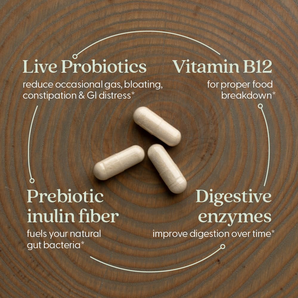 New Chapter All-Flora Enzyme Complex with Probiotics Relieves Bloating & Gas - Clinical-Strength Digestive Enzymes + Ultra-Concentrated Probiotics + Fermented Vitamin B12, 90 Vegan Capsules New Chapter Au supplements