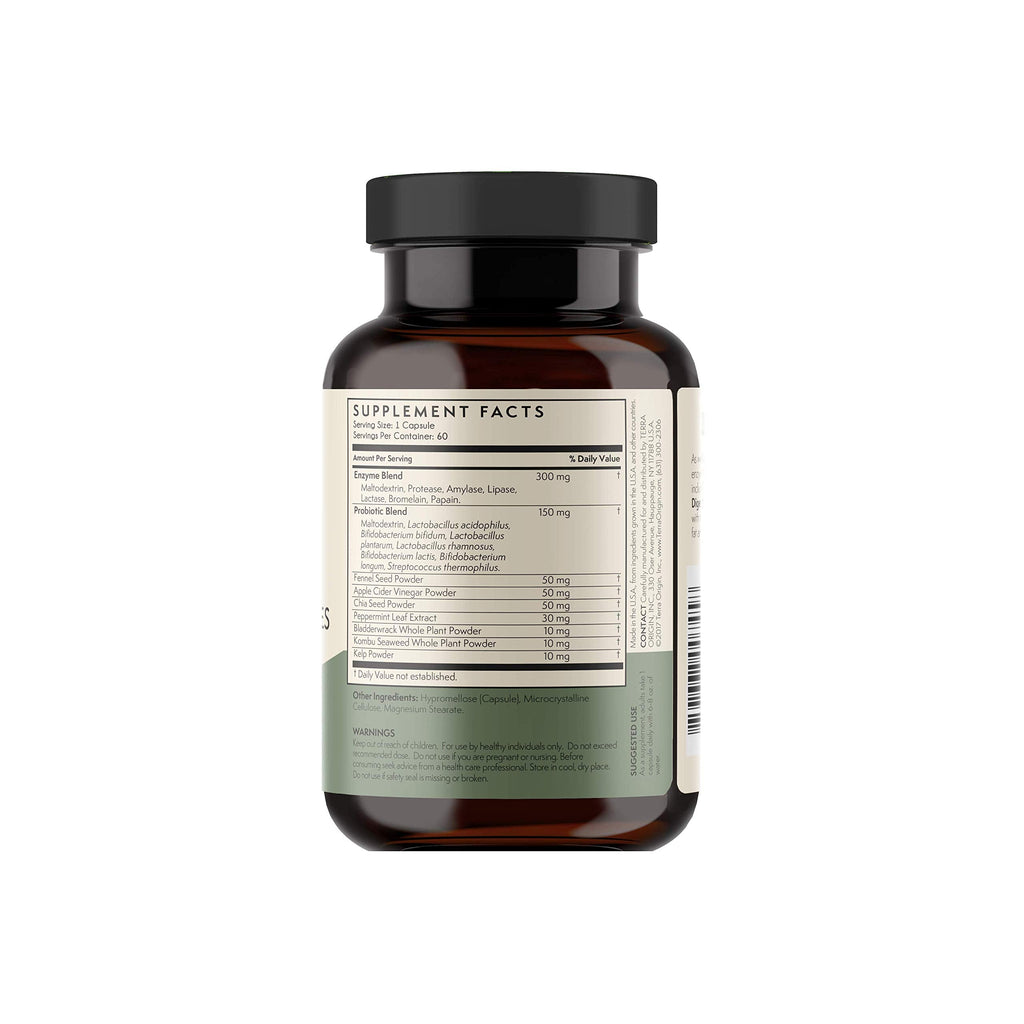 TERRA ORIGIN Digestive Enzymes with Probiotics & Prebiotics | 60 Capsules | Supports Digestive Gut Health | Non GMO, Gluten Free,