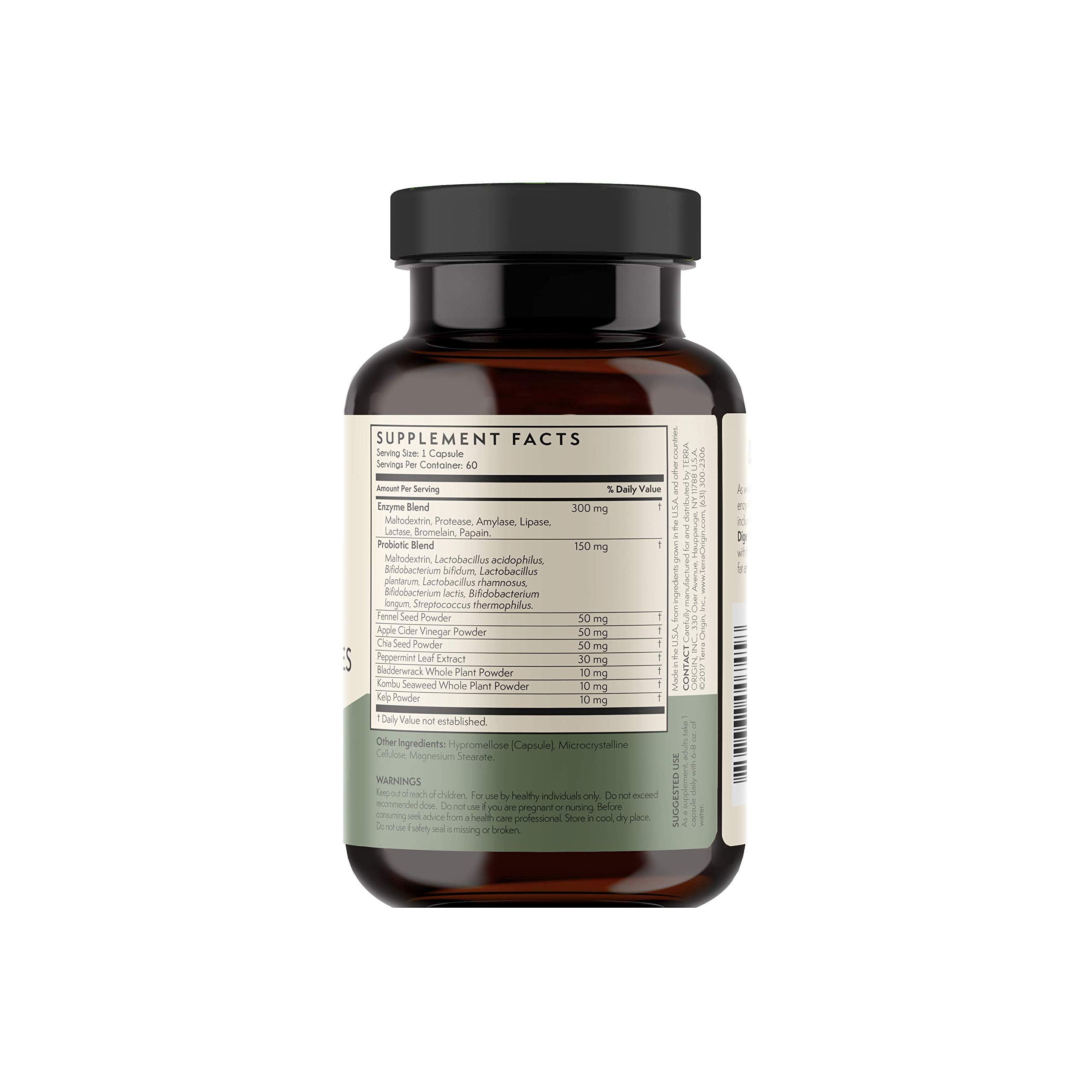 TERRA ORIGIN Digestive Enzymes with Probiotics & Prebiotics | 60 Capsules | Supports Digestive Gut Health | Non GMO, Gluten Free,