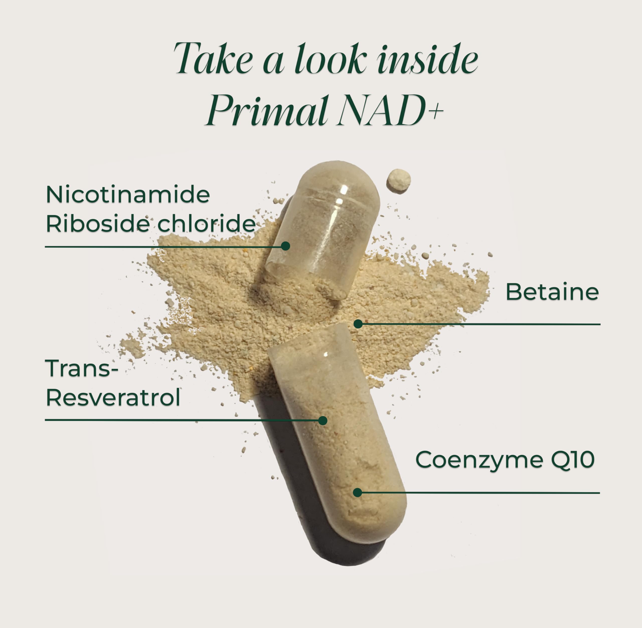 Primal Harvest NAD+ Supplement: Nicotinamide Riboside, Trans-Resveratrol, Betaine, CoQ10, NAD Supplements for Cellular Health, Energy, and Mitochondrial Support (60 Count (1 Pack) Primal Harvest Au supplements