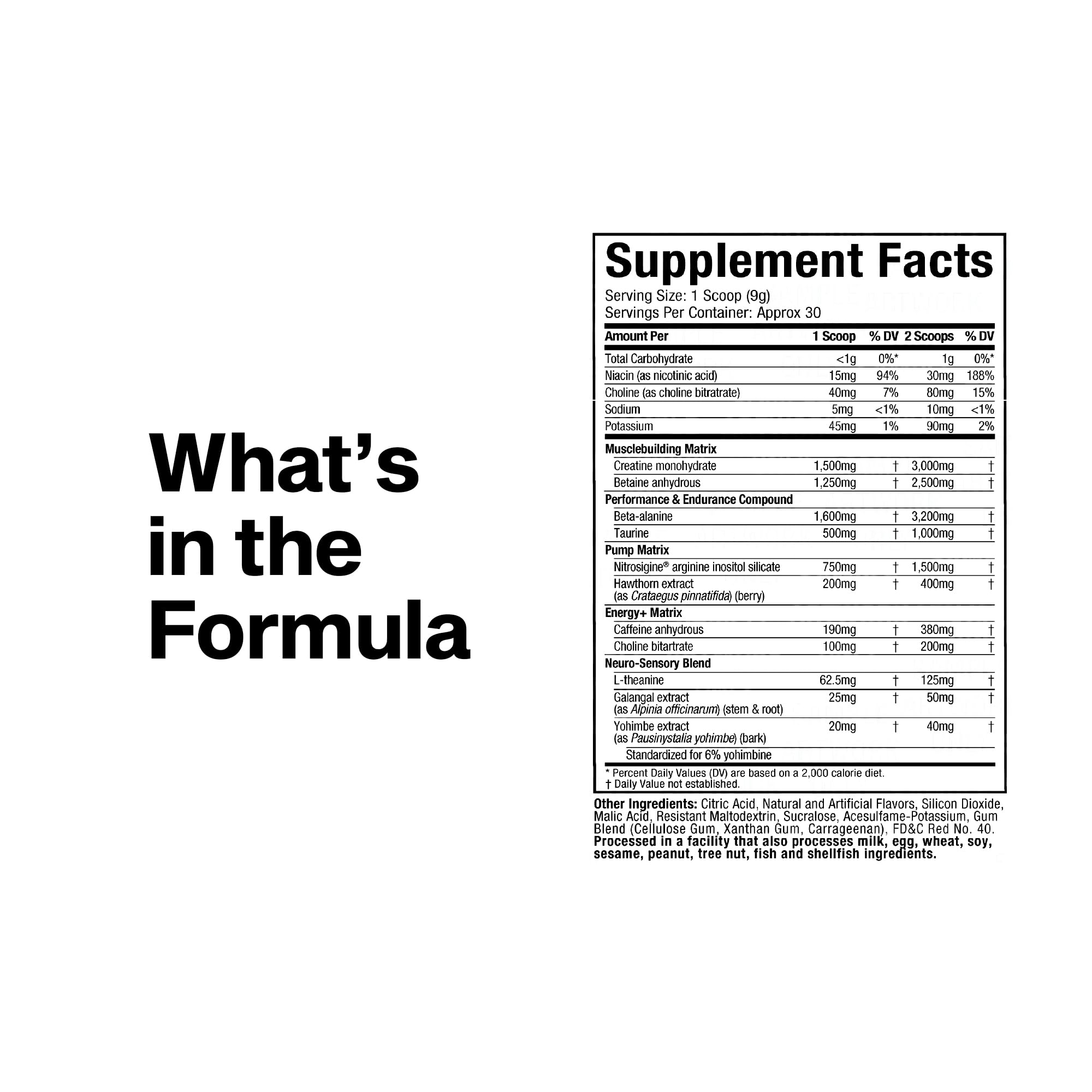 MuscleTech Pre-Workout Powder, Vapor X5 - Sports Nutrition Muscle Building Supplements for Women & Men - Intense Muscle Pump Energy Powder Drink Mix