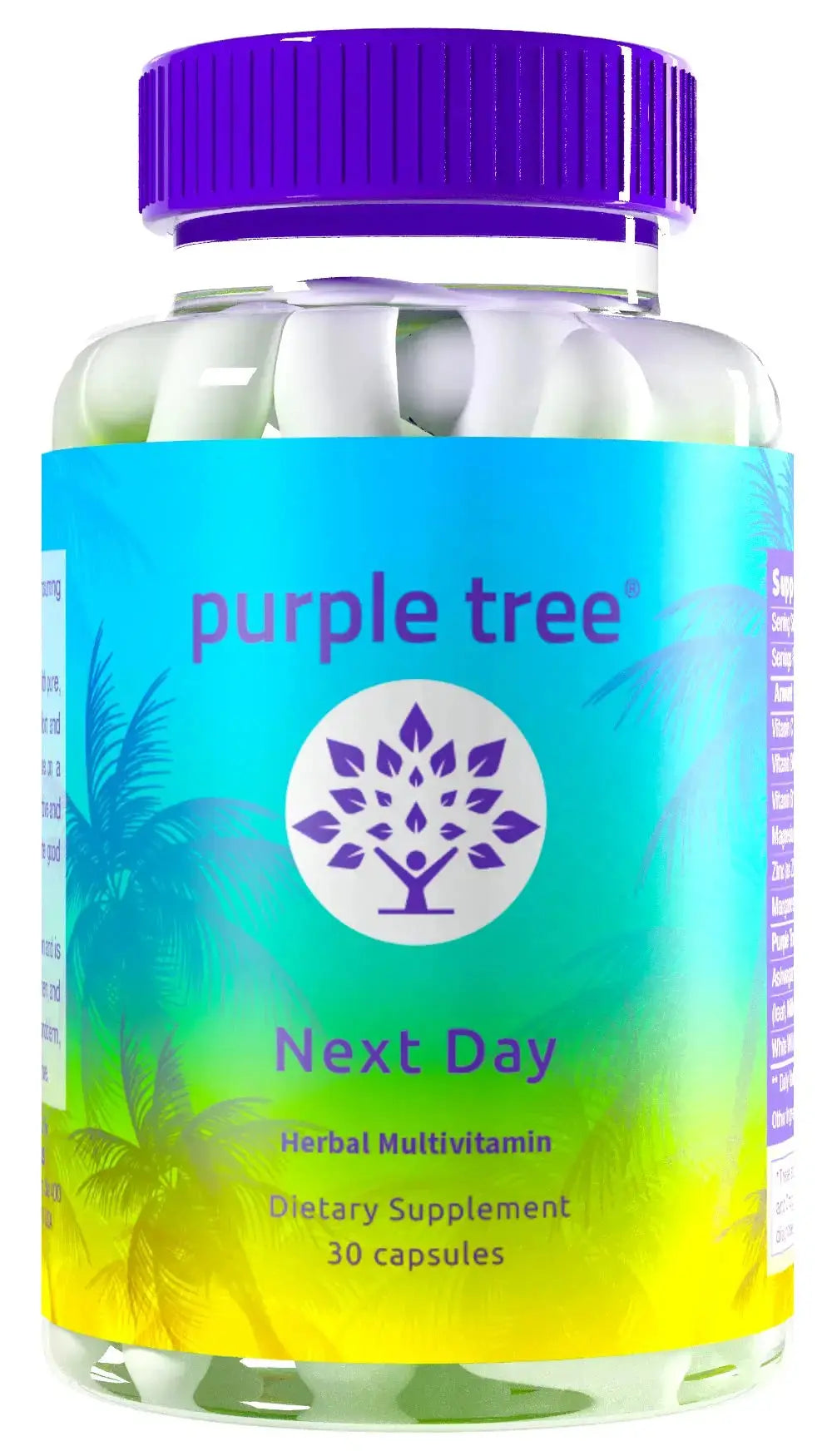 purple tree Next Day – Post-Drink Morning Wellness Supplement for Balance, Restore & Replenishment | Ashwagandha KSM-66, Milk Thistle, Ginger purple tree Au supplements