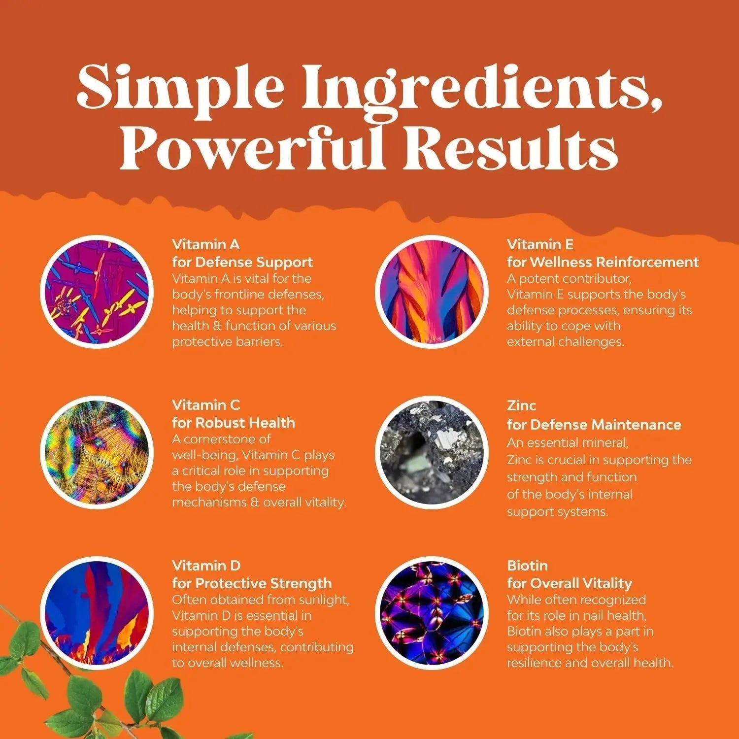 Bundle of Potent Daily Multivitamin Gummies - Wellness Blend of Vitamin D A C E B12 Zinc & Biotin for Energy & Immunity and Vitamin D3 Gummies Natures Craft Au supplements