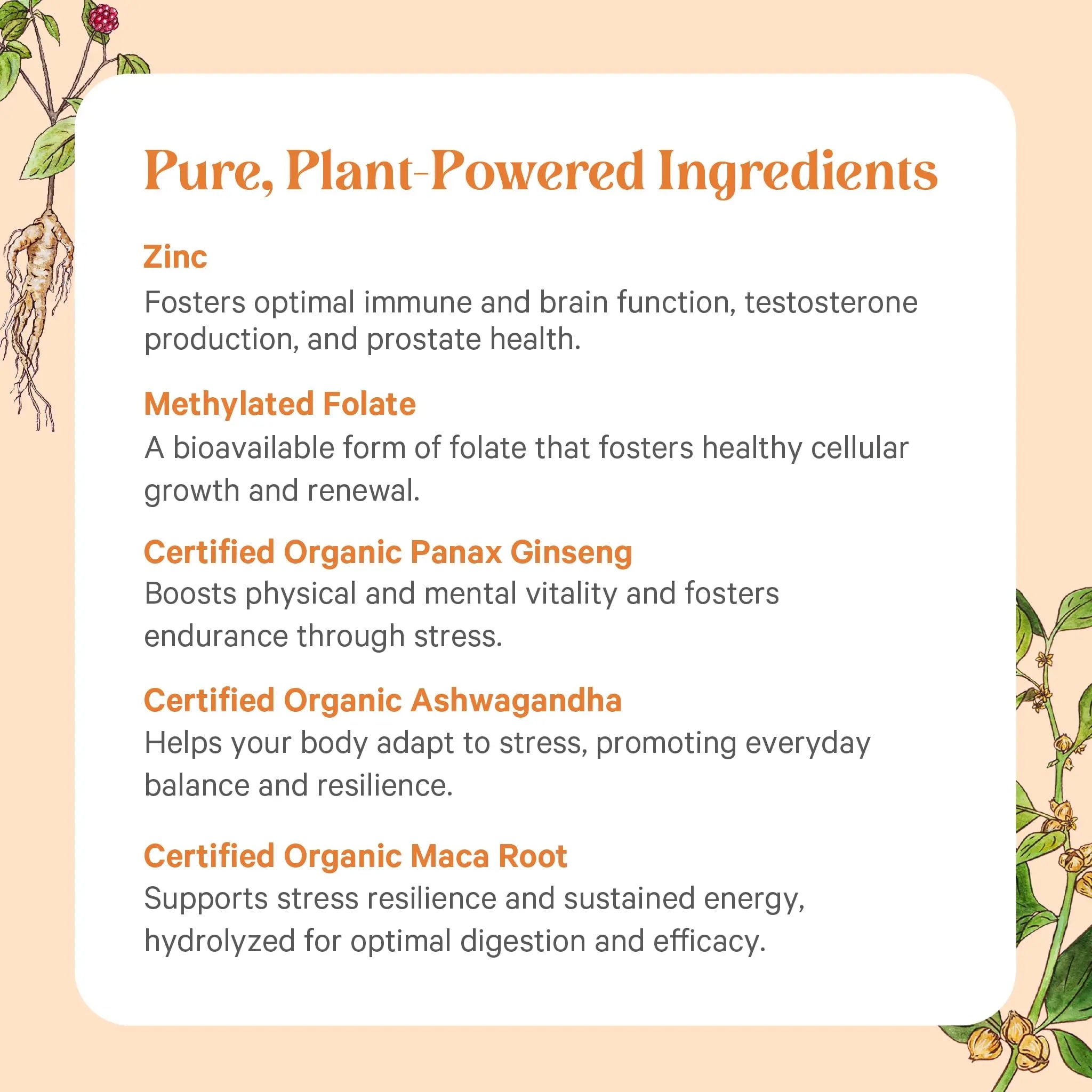 PURE SYNERGY Vita·Min·Vitality | Natural Multivitamin for Men | Men’s Daily Multivitamin Made with Organic Whole Foods | PURE SYNERGY Au supplements