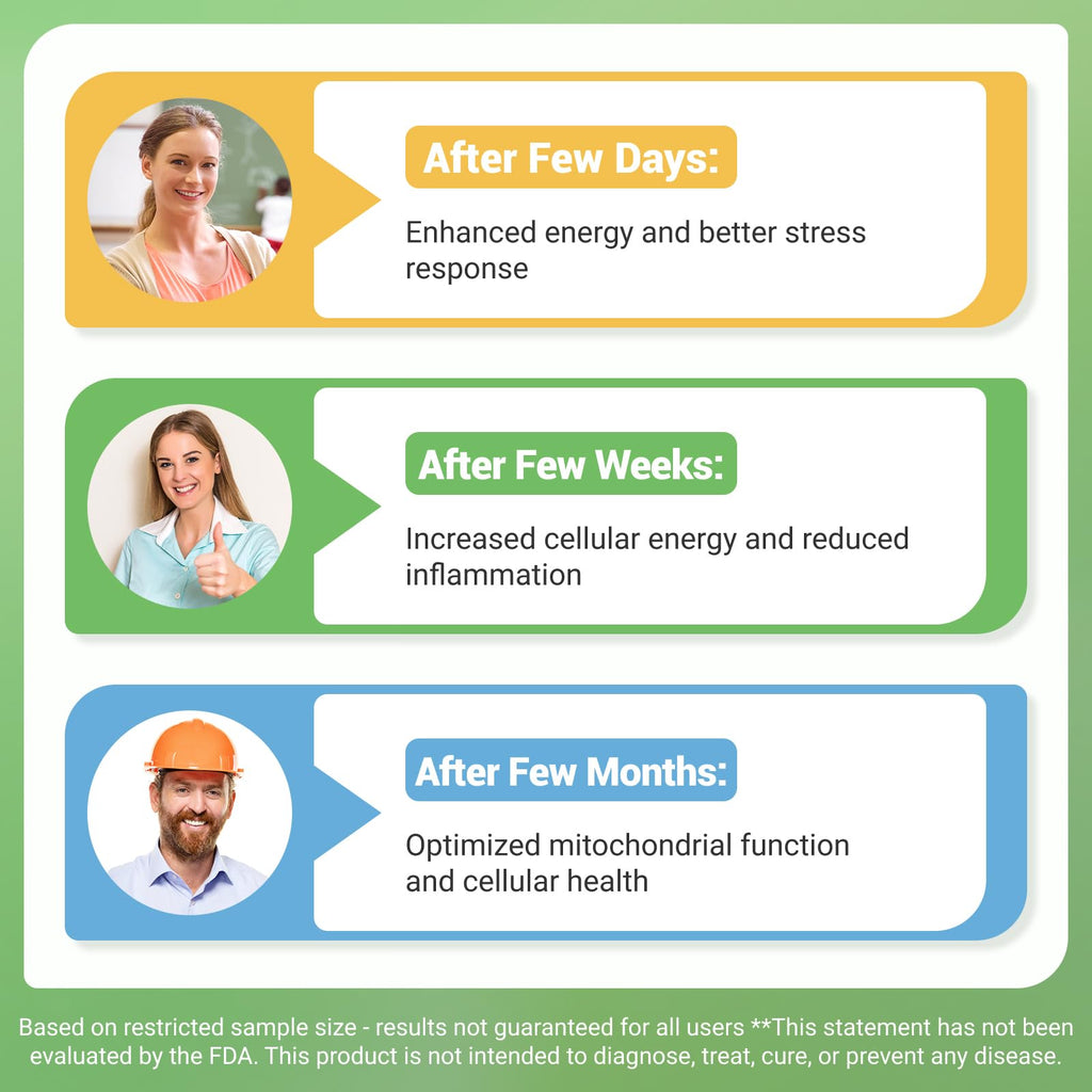 Nature Whisper NAD+ Supplement 620mg | 6-in-1 Complex with Resveratrol, Ashwagandha & Urolithin A - Daily Energy Stack for Focus, Brain Fog & Healthy Aging - 60 Capsules Nature Whisper Au supplements