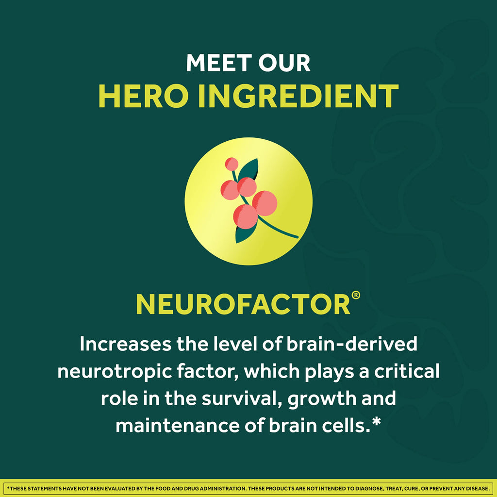 NEURIVA Brain + Energy Gummies, Nootropic Brain Supplements for Focus and Concentration with Neurofactor, Vitamin B12 & Caffeine for an Energy Boost*, 75ct Natural BlackBerry NEURIVA Au supplements