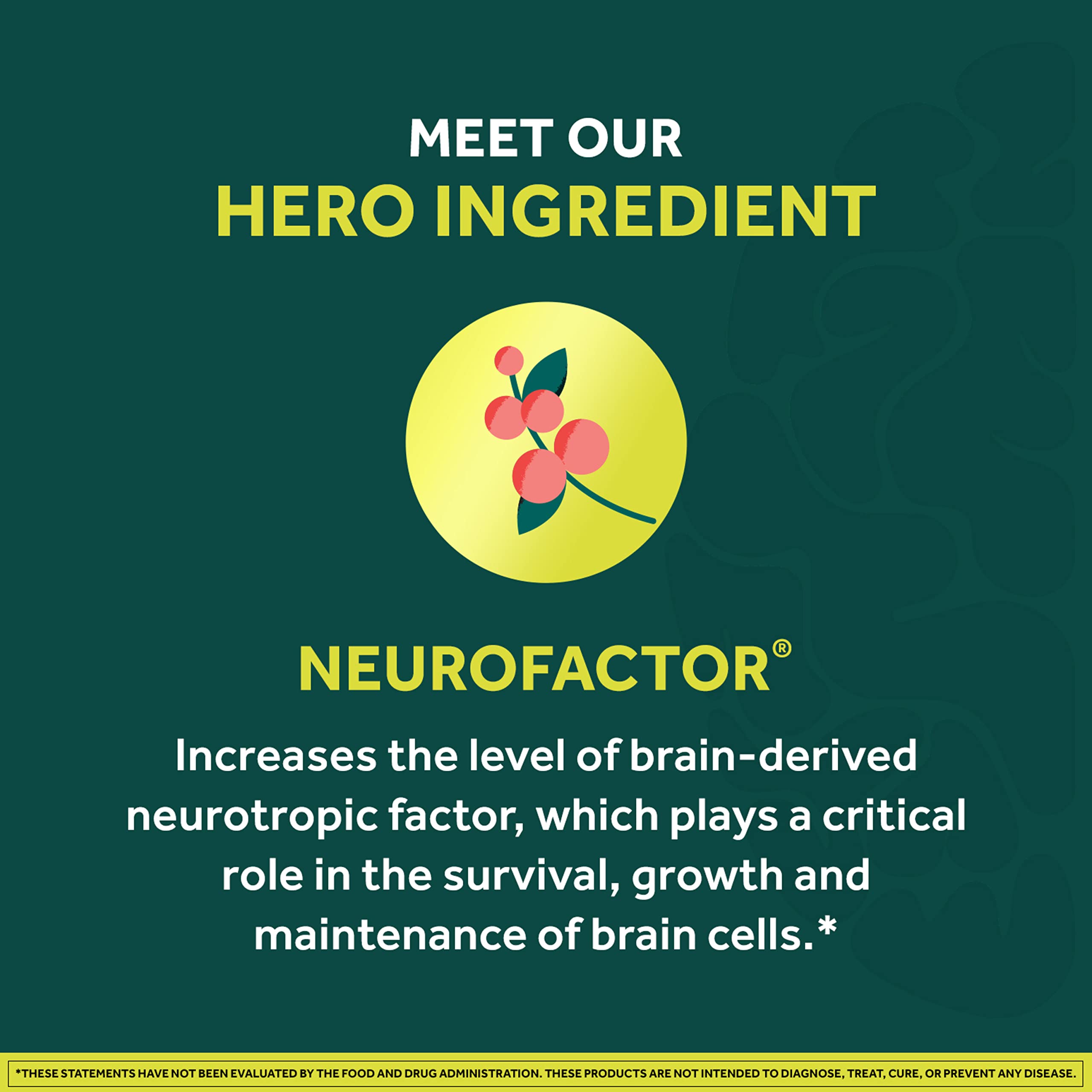 NEURIVA Brain + Energy Gummies, Nootropic Brain Supplements for Focus and Concentration with Neurofactor, Vitamin B12 & Caffeine for an Energy Boost*, 75ct Natural BlackBerry NEURIVA Au supplements