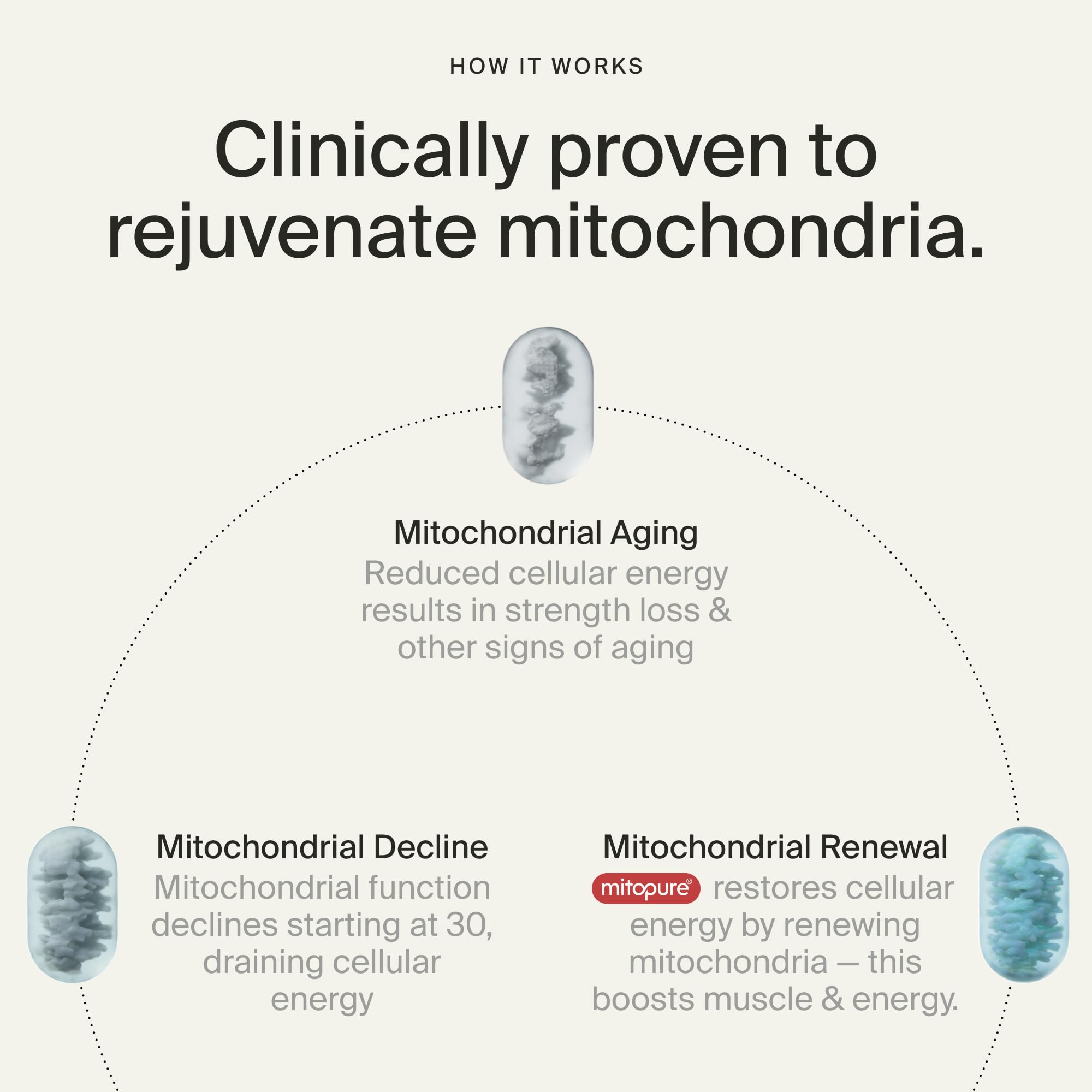 Timeline Mitopure Urolithin A Supplement Softgels - Clinically Proven Support for Healthy Aging and Cellular Renewal