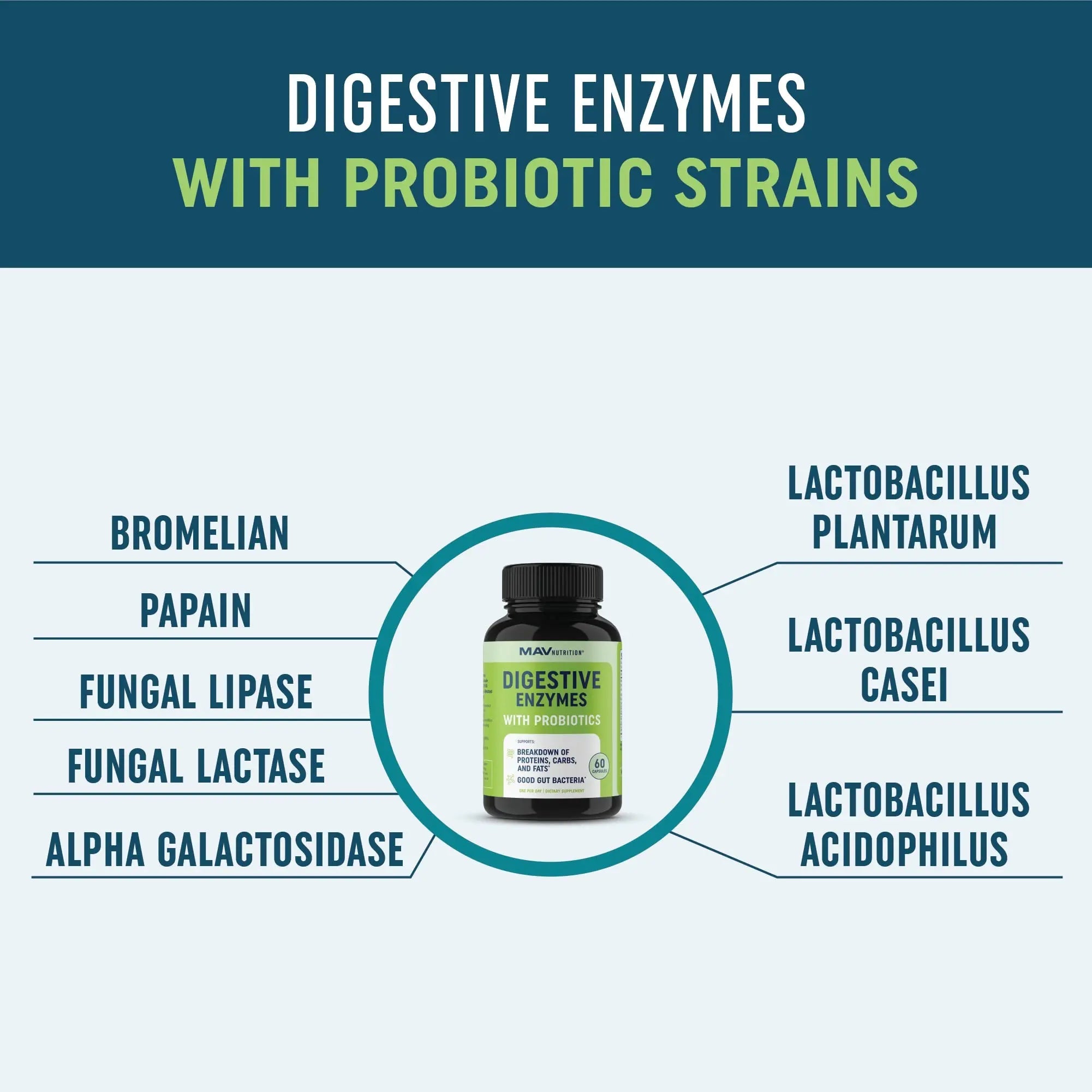 Digestive Enzymes with Probiotics for Bloating Relief & Digestive Health MAV NUTRITION Au supplements