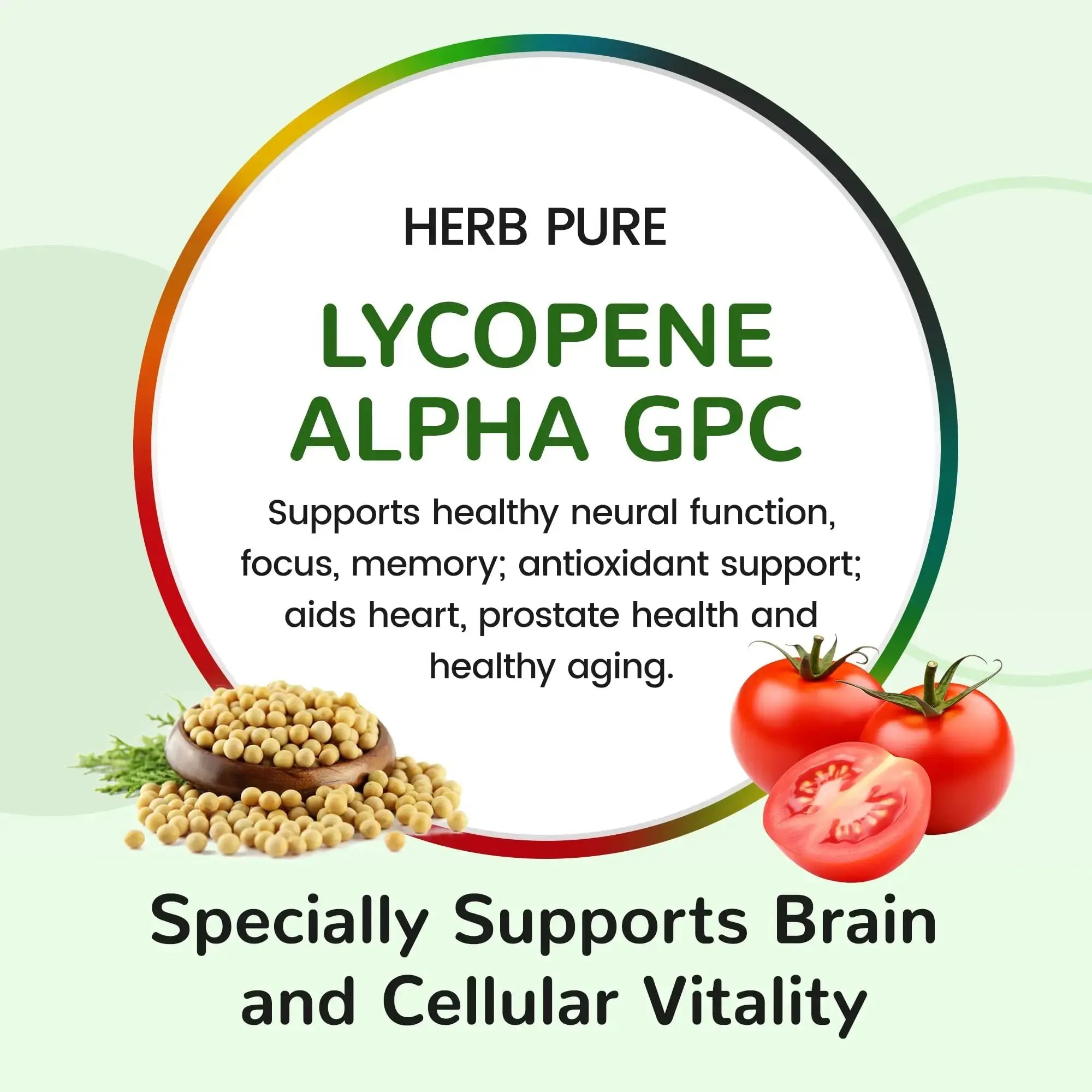 HERB PURE Multi Vitamin Complex Daily Multivitamin for Men and Women – 28 Essential Vitamins & Minerals with Active Vitamins, Superfood Blend, Alpha GPC HERB PURE Au supplements