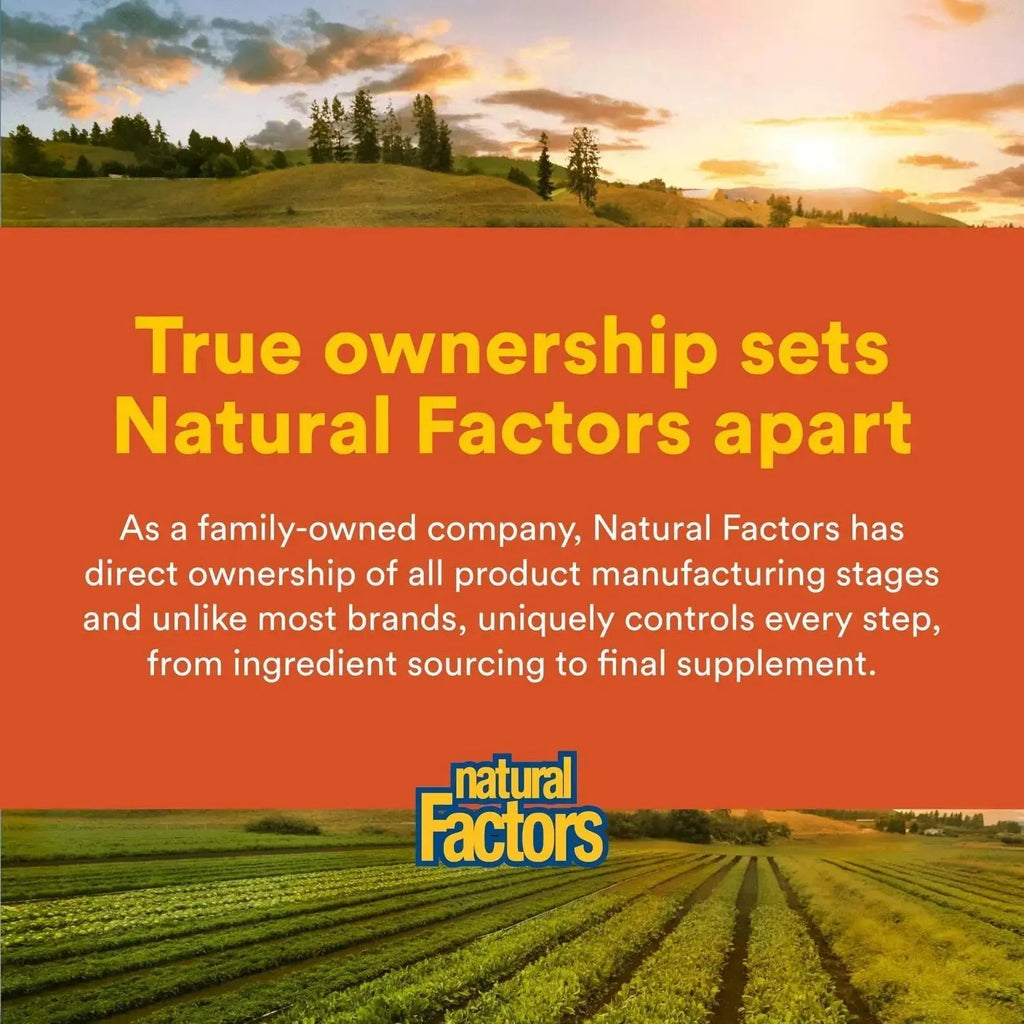 Natural Factors Hi Potency B Complex, 50 mg, 90 Capsules Natural Factors Au supplements
