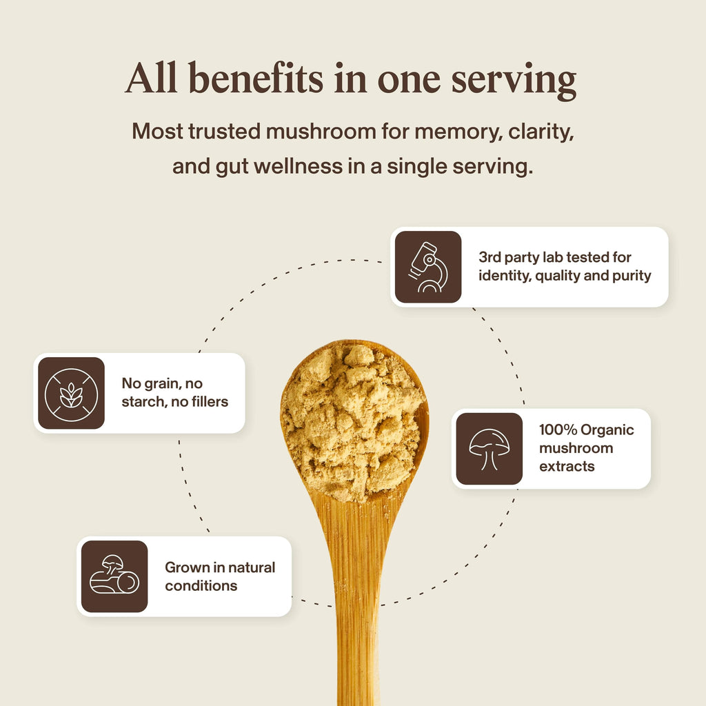 Real Mushrooms Lions Mane Mushroom Cognition (120 Capsules) Lions Mane Mushroom Powder Extract Capsules