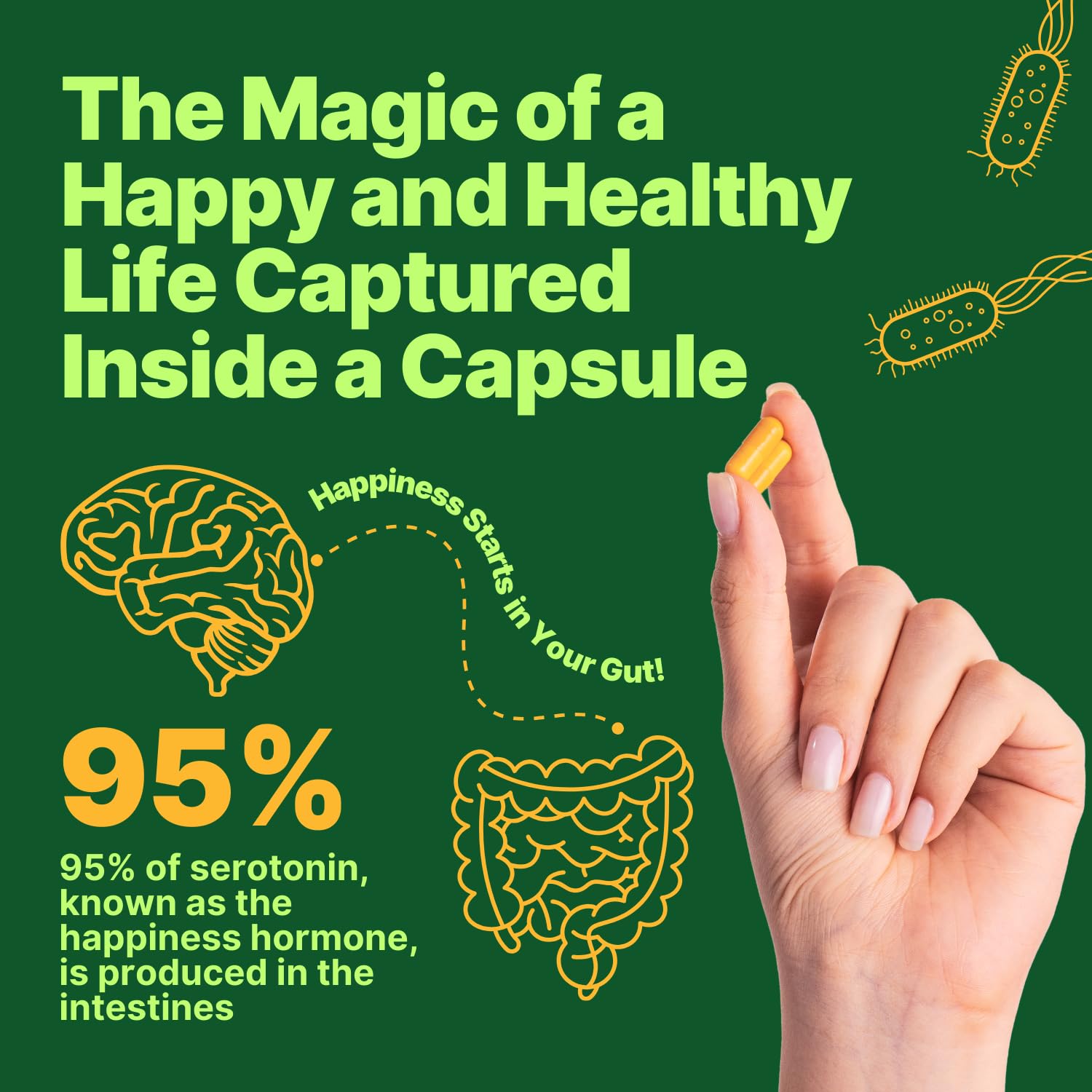 anocin Akkermansia Muciniphila + Probiotic, Postbiotic & Inulin - Gut Health Supplement for Digestion, Immune Support - 10 Billion CFU, Vegan & Gluten-Free anocin Au supplements