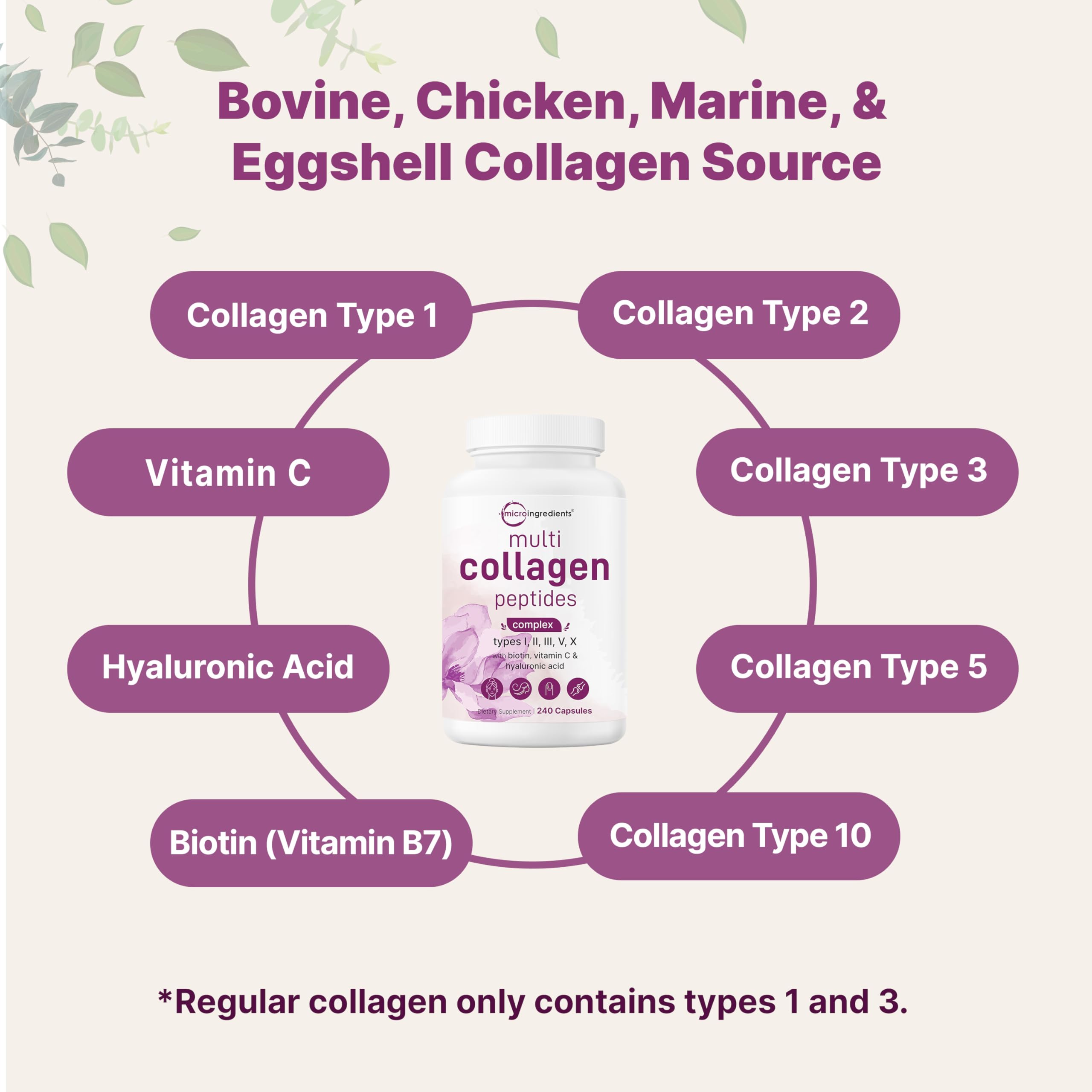 Micro Ingredients Multi Collagen Pills for Women & Men, 240 Capsules | Type I, II, III, V, X | Hydrolyzed Peptides with Biotin, Hyaluronic Acid