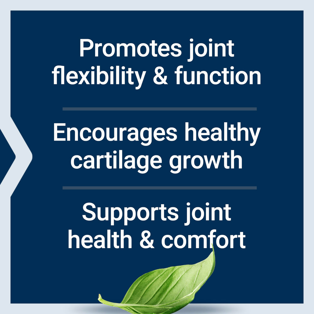 Life Extension NT2 Collagen™, Joint Health Supplement for Joint Comfort & Mobility, Gluten-Free, Non-GMO, 1 Daily, 60 Small Capsules Life Extension Au supplements
