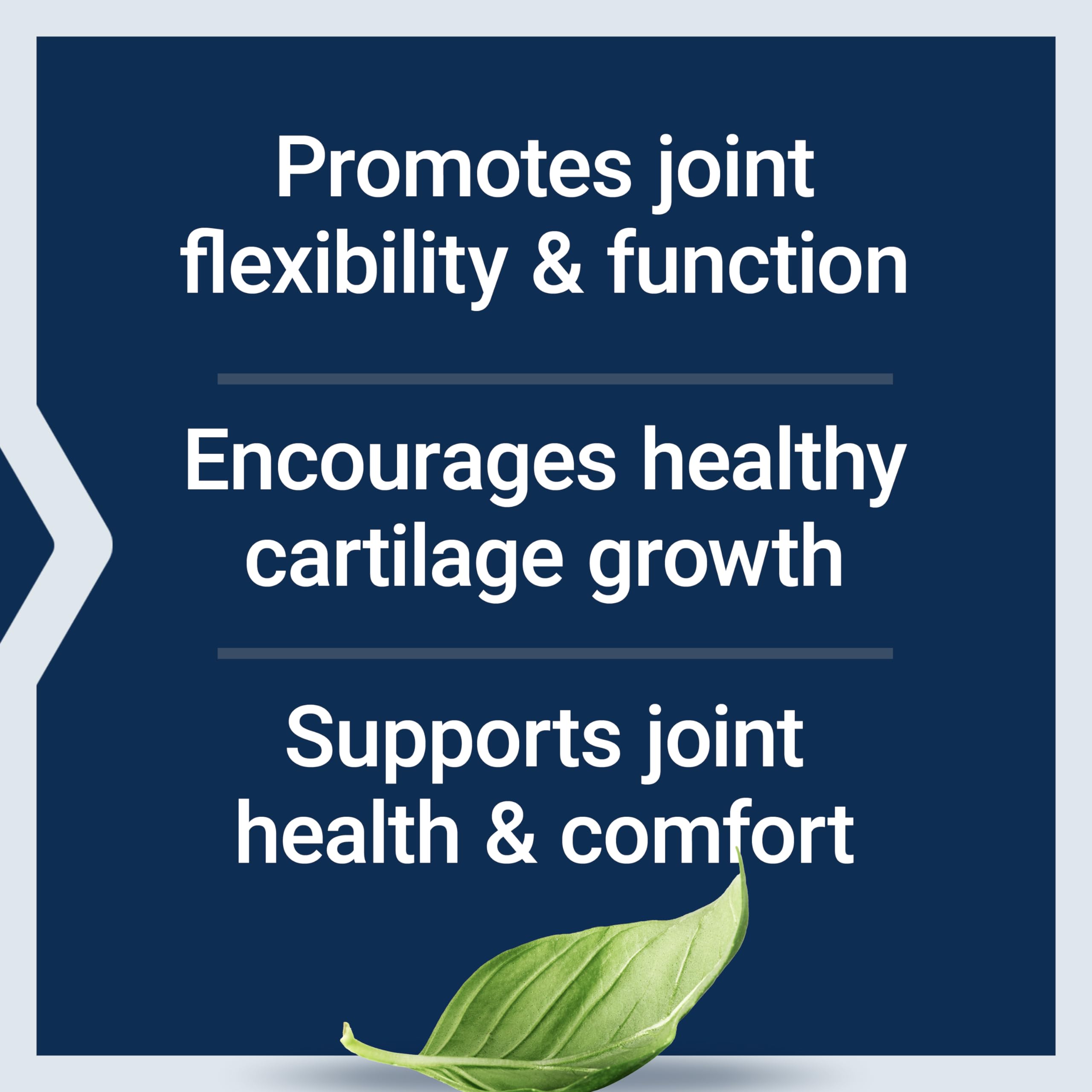 Life Extension NT2 Collagen™, Joint Health Supplement for Joint Comfort & Mobility, Gluten-Free, Non-GMO, 1 Daily, 60 Small Capsules Life Extension Au supplements