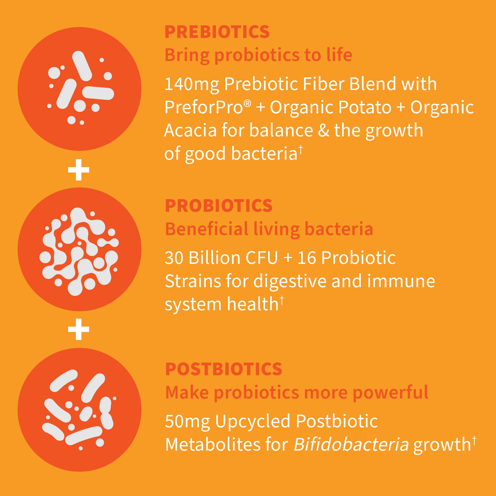 Garden of Life Dr Formulated Once Daily 3-in-1 Complete Probiotics, Prebiotics & Postbiotics - PRE + PRO + POSTBIOTIC Supplement for Adults’ Digestive
