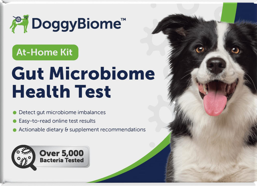 AnimalBiome Dog Gut Health Test – DoggyBiome At Home Stool Testing Kit, Canine Fecal Analysis for Digestive Issues, Diarrhea & Allergy Insights w/Personalized Report & Custom Plan (Dogs Outside US) AnimalBiome Au supplements
