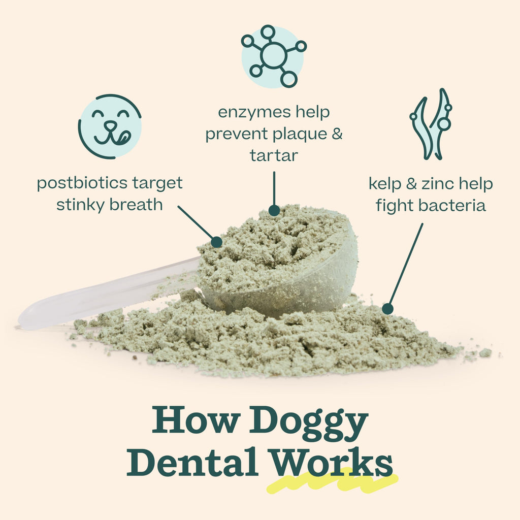 Woof Doggy Dental Pupsicle Mix - Dog Teeth Cleaning Powder for The Pupsicle - Long Lasting Postbiotic Dental Enzyme Mix to Support Oral Health for Dogs WOOF Au supplements