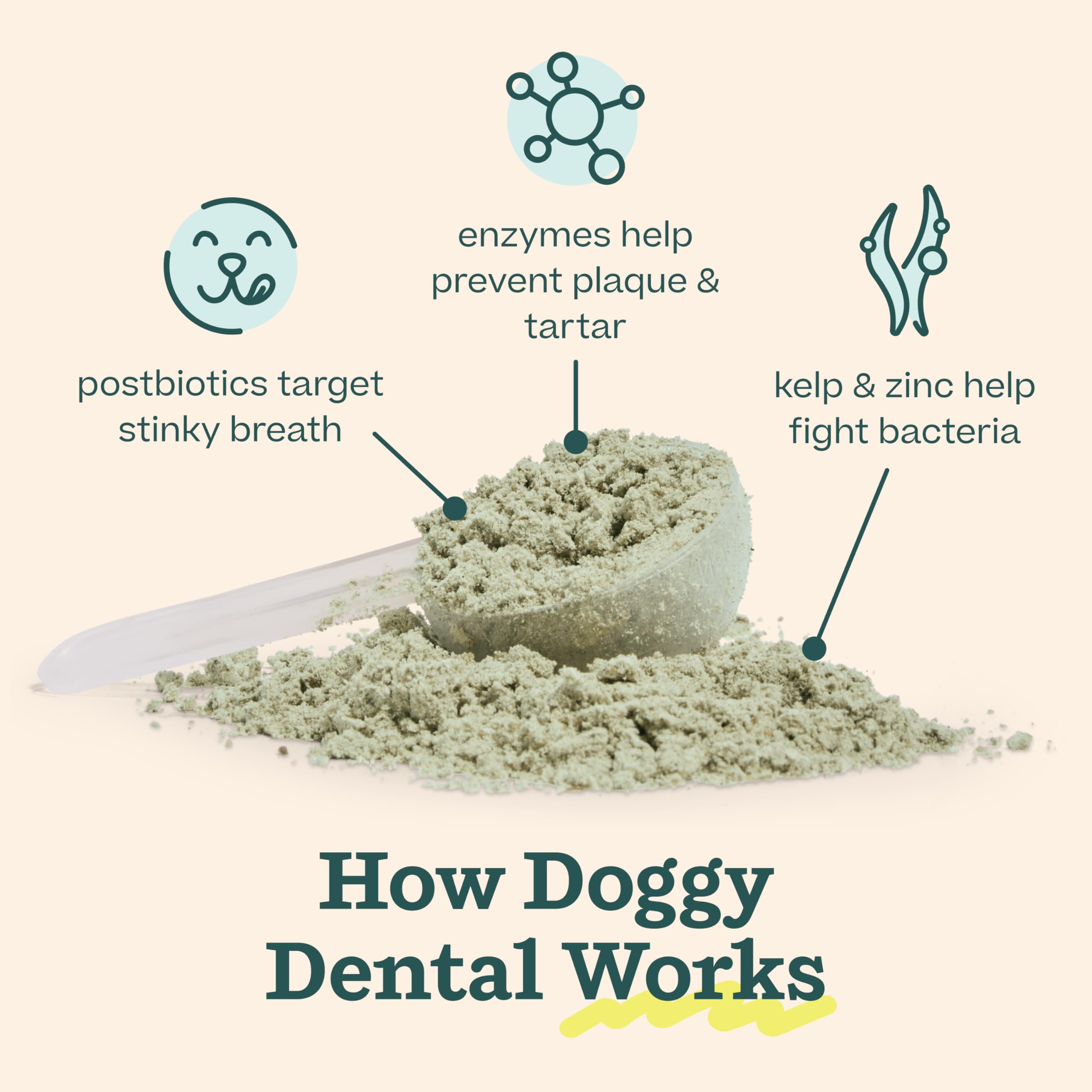 Woof Doggy Dental Pupsicle Mix - Dog Teeth Cleaning Powder for The Pupsicle - Long Lasting Postbiotic Dental Enzyme Mix to Support Oral Health for Dogs WOOF Au supplements