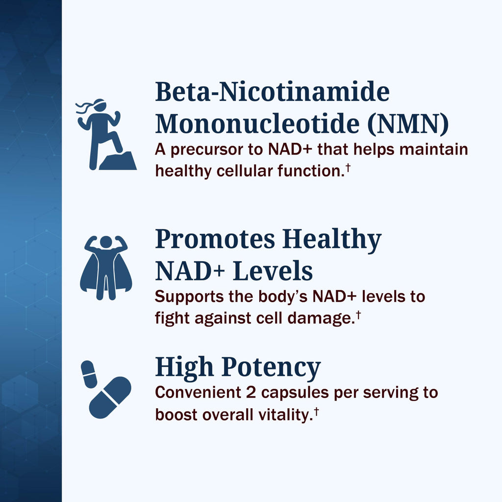 BioSchwartz NMN Supplement - 500mg Nicotinamide Mononucleotide - 30 Servings, 60 Capsules - Made in The USA with Premium Globally Sourced Ingredients, Third-Party Tested, Gluten-Free NMN Supplement BioSchwartz Au supplements