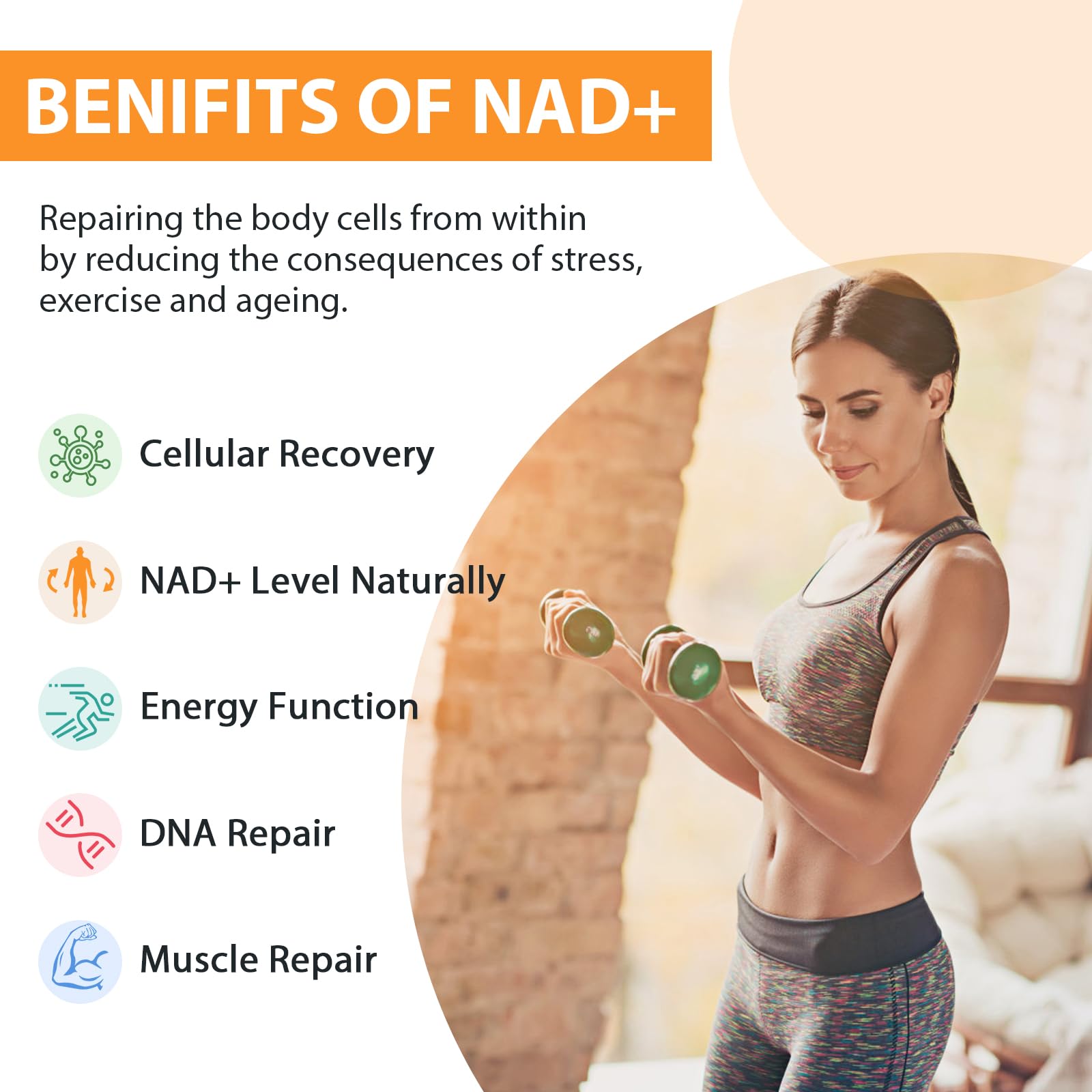 Orgabay Liposomal NAD+ Supplement 500 mg, High Absorption, Boost NAD+ with TMG 250 mg, Actual NAD Plus More Efficient Than Nicotinamide Riboside, Support Cellular Energy, Healthy Aging | 180 Softgels Orgabay Au supplements