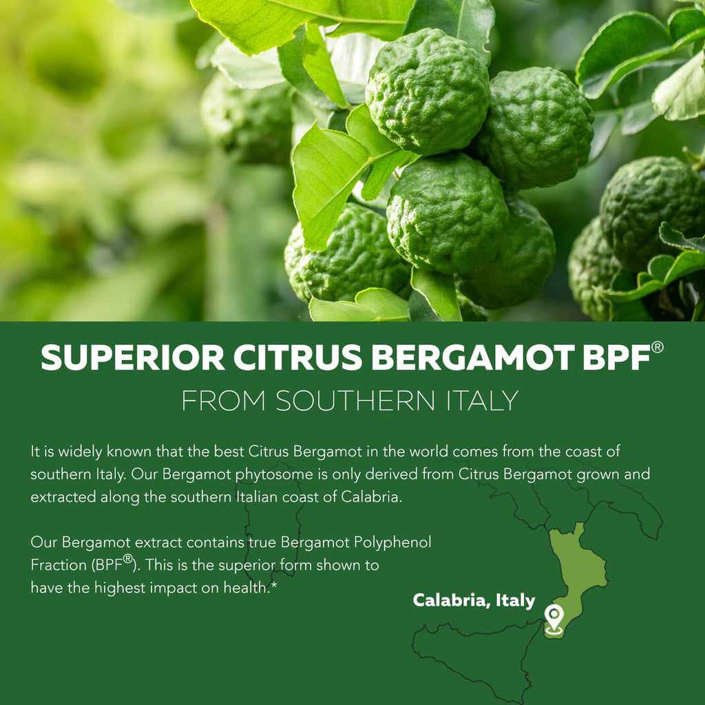 SoActive Bergamot: 2.5X More Effective, Italian Citrus Bergamot Phytosome - Clinically Validated | Enhanced with Grape Seed Extract