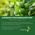SoActive Bergamot: 2.5X More Effective, Italian Citrus Bergamot Phytosome - Clinically Validated | Enhanced with Grape Seed Extract