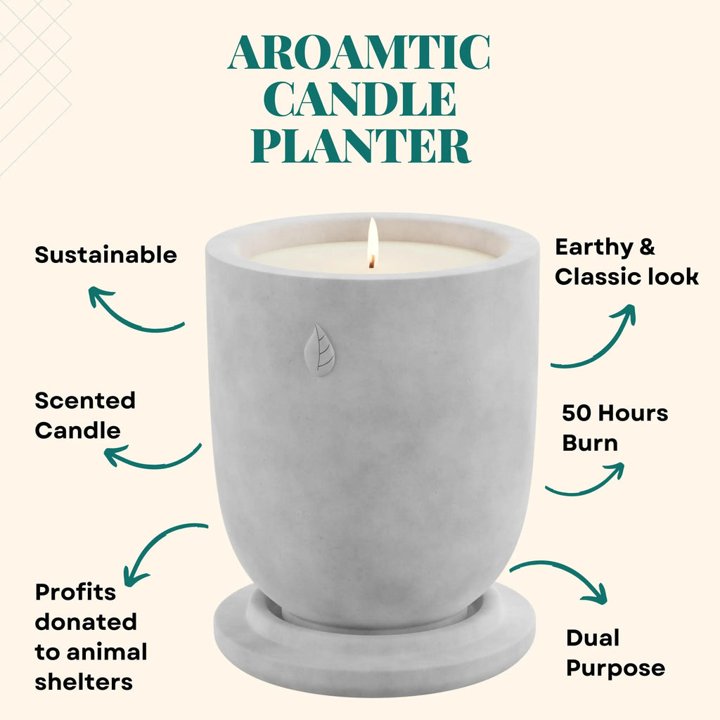 CandlePlanter Concrete Cement Candle Planter - Candles for Home Scented, Soy Candles CANDLEPLANTER Au supplements