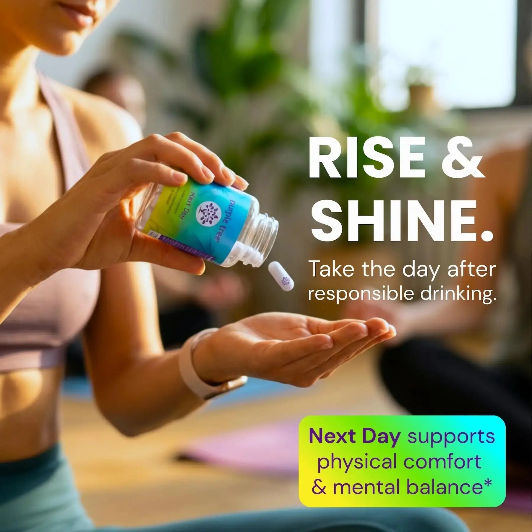 purple tree Next Day – Post-Drink Morning Wellness Supplement for Balance, Restore & Replenishment | Ashwagandha KSM-66, Milk Thistle, Ginger purple tree Au supplements