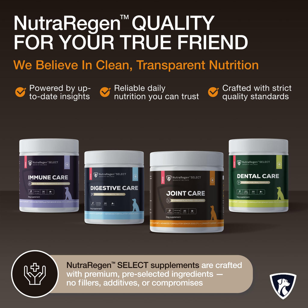 NutraRegen Select Senior Dog Joint Supplement 45 Scoops | Natural Glucosamine Chondroitin for Dogs with Collagen | Hip and Joint Powder | 7.7 Oz NutraRegen Au supplements