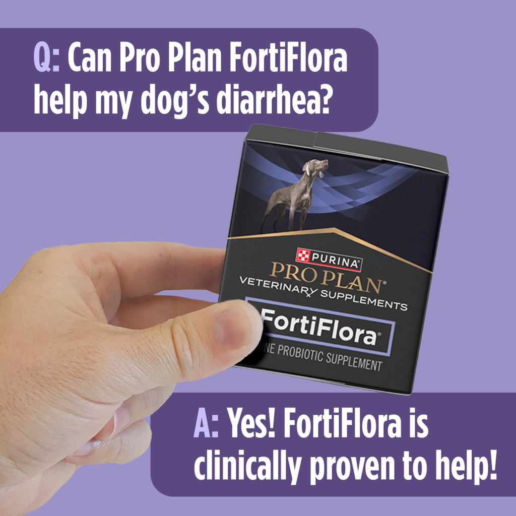 Purina Pro Plan Veterinary Supplements FortiFlora Daily Probiotics for Dogs, Helps Digestive Gut Health and Diarrhea - 30 ct. Box Pro Plan Veterinary Diets Au supplements