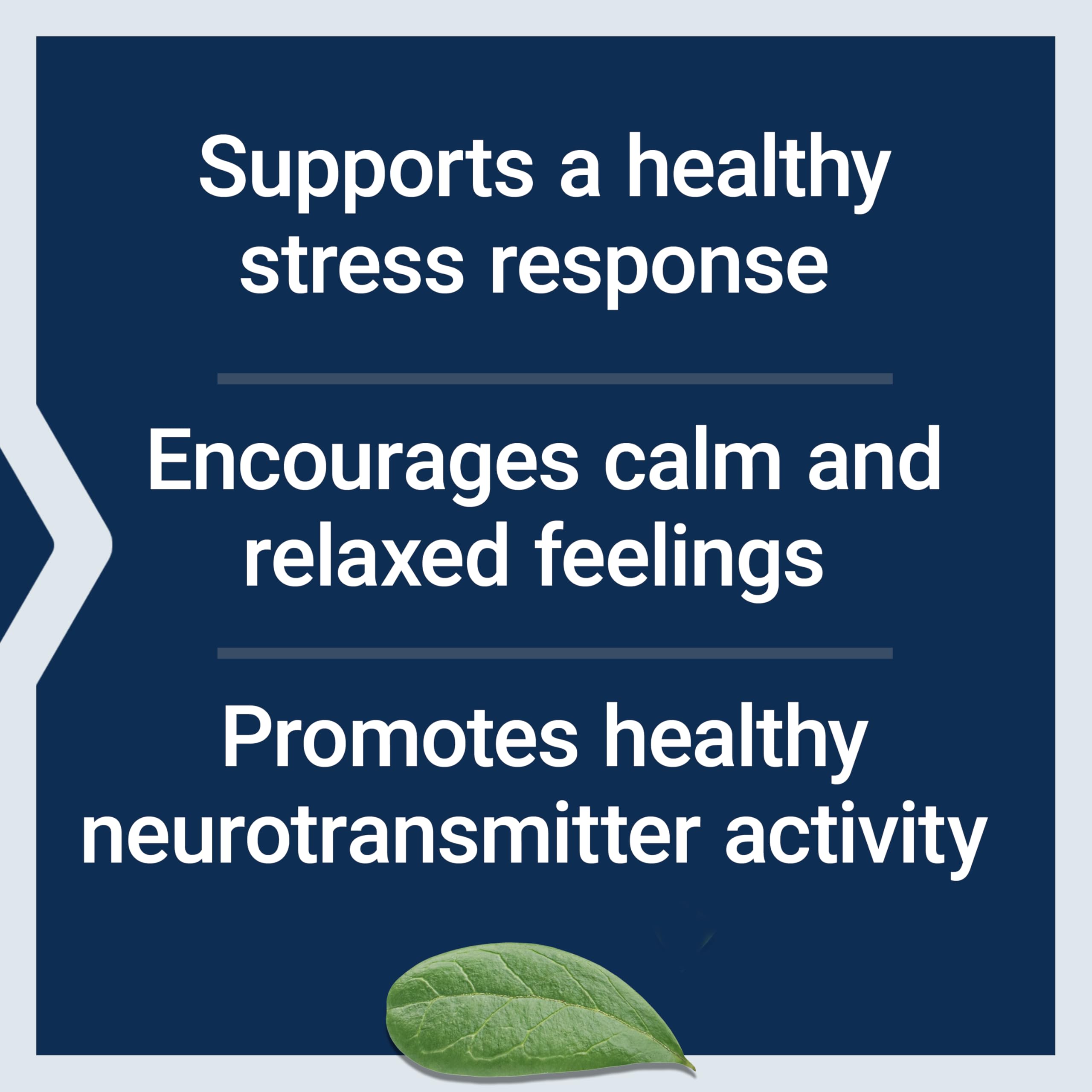 Life Extension Calm-Mag, Magnesium Acetyl taurinate, Daily Stress Management Formula, Supports Calmness and Relaxation, Gluten-Free, Non-GMO, Vegetarian, 30 Capsules Life Extension Au supplements