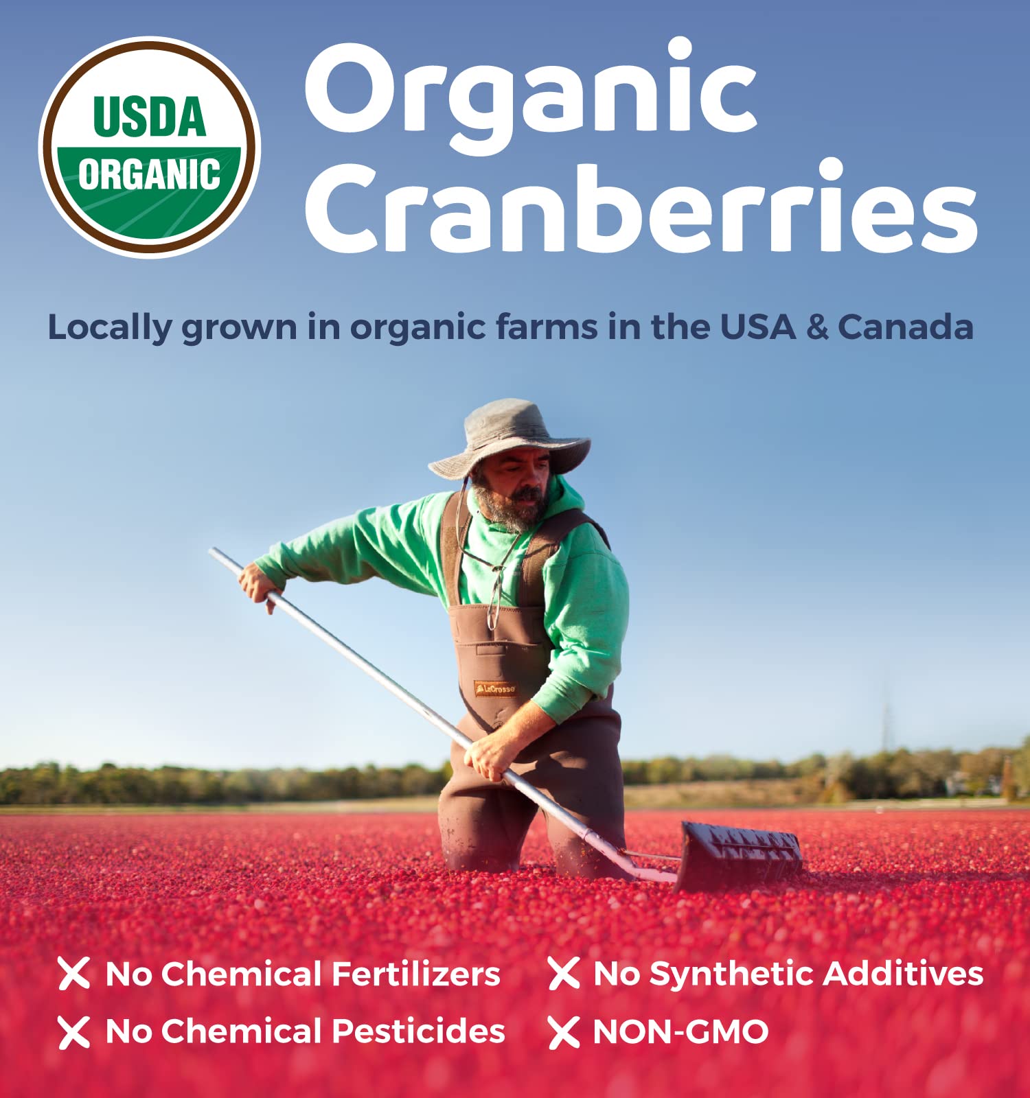 Organic Cranberry Pills - Vegan Supplement for Urinary Tract Health & Kidney Cleanse - Cranberry Pills for Women 500mg 50:1 Cranberry Concentrate Per Serving