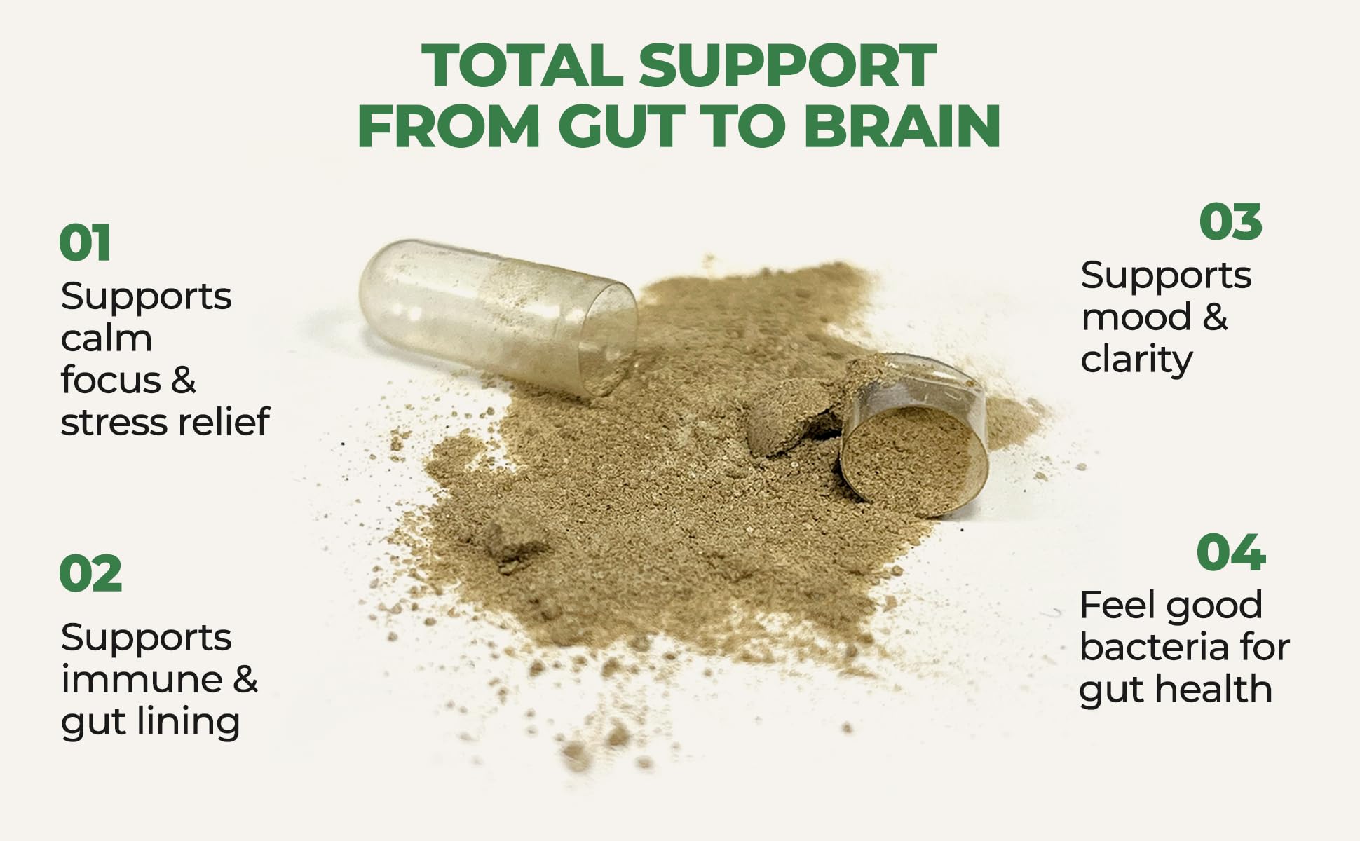 Gut-Brain Synergy Probiotic & Nootropic – 30Billion CFU Psychobiotic + Prebiotic with Ashwagandha, L-Theanine & Zinc for Gut Health, Mood Support, Stress Relief, Bloating Relief & Brain Focus & Memory