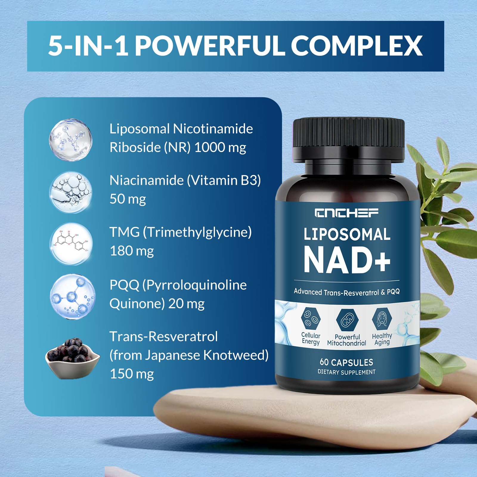 CNCHEF Liposomal NAD Supplement -1000mg, NAD Resveratrol Supplement for Women & Men with Nicotinamide Riboside, Resveratrol, PQQ & TMG, NAD Plus Boosts NAD+ Levels, Anti-Aging & Brain, 60 Capsules CNCHEF Au supplements