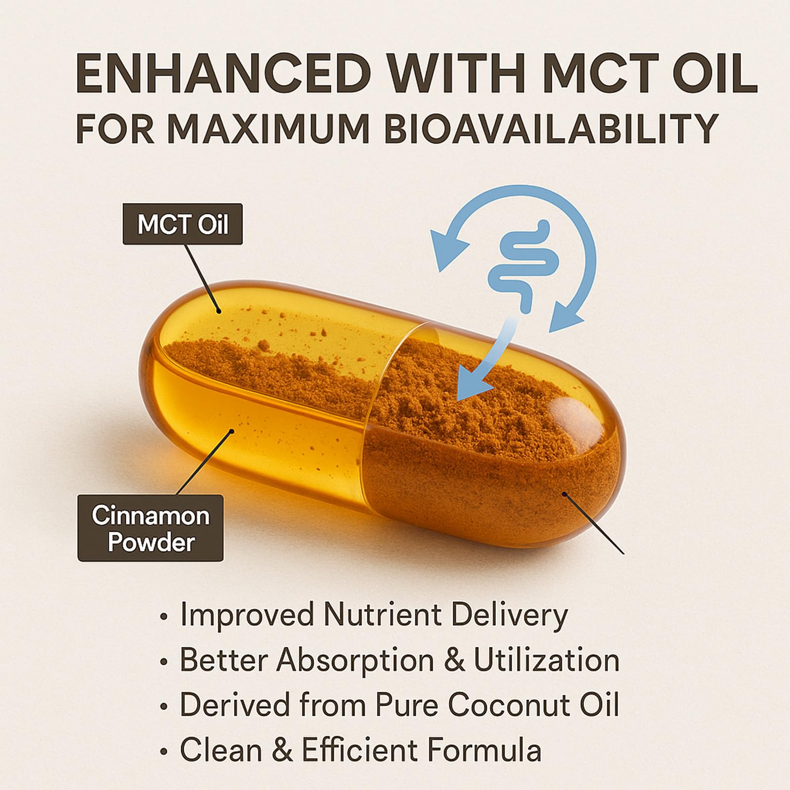 LIRAE Ceylon Cinnamon Softgels with MCT Oil – 300 Softgels – True Ceylon Cinnamon Supplement – Non-GMO, Gluten Free