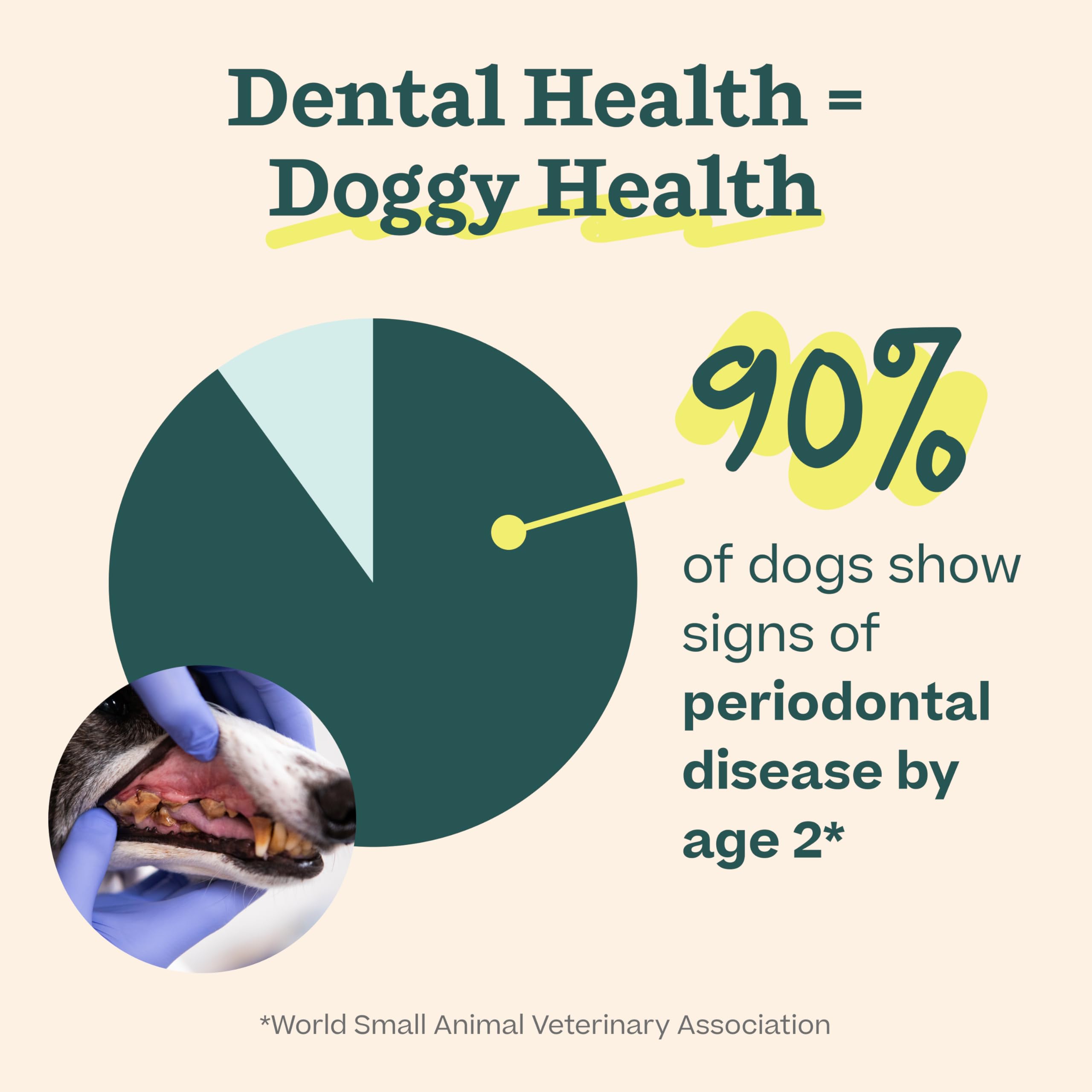 Woof Doggy Dental Pupsicle Mix - Dog Teeth Cleaning Powder for The Pupsicle - Long Lasting Postbiotic Dental Enzyme Mix to Support Oral Health for Dogs WOOF Au supplements