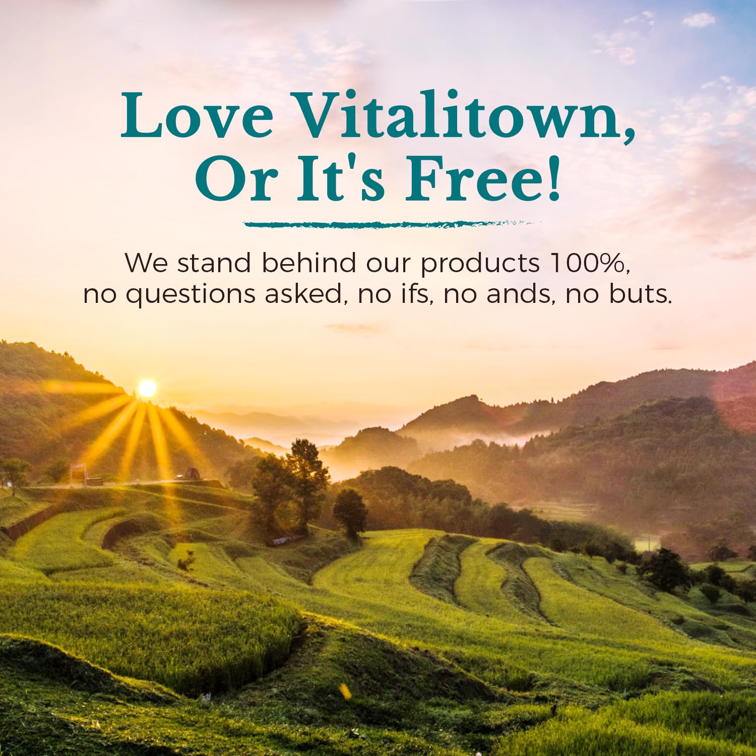 VITALITOWN Probiotics 120 Billion CFUs | 36 Strains, with Prebiotics & Digestive Enzymes for Men Women | Shelf Stable | Digestive Health & Immune Support