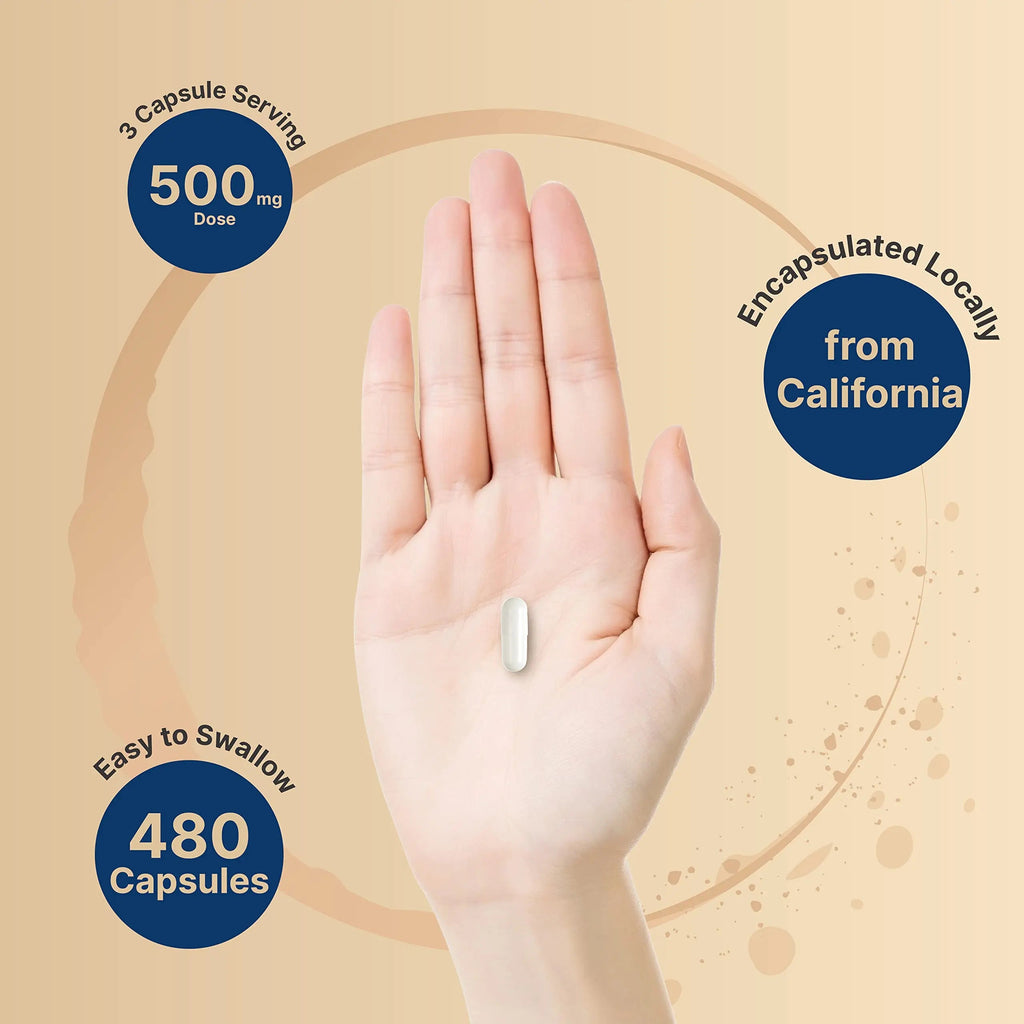 2 Pack Magnesium Citrate 500mg, 480 Capsules | High Purity Elemental Form NatureBell Au supplements