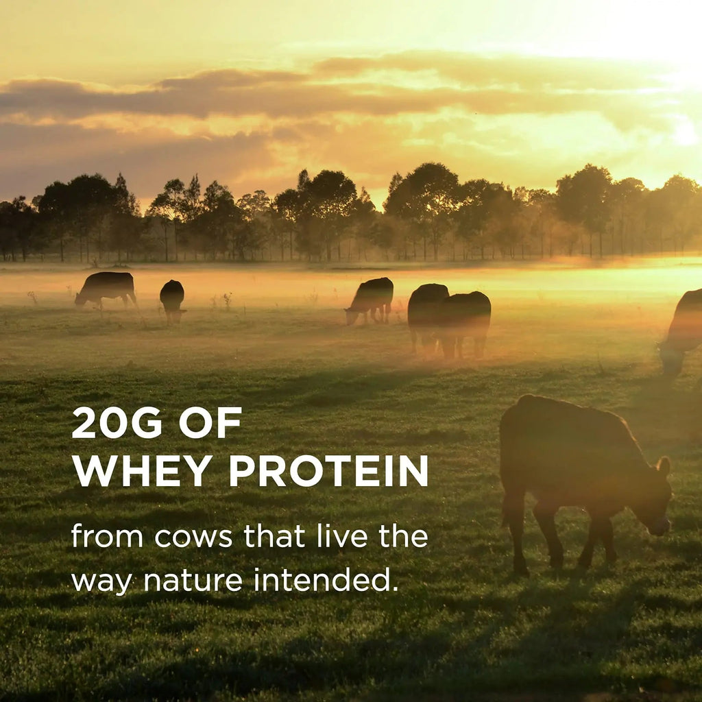 Solgar Whey To Go Natural Vanilla Flavour Protein Powder 340 g - Grass-Fed Whey from New Zealand Cows SOLGAR Au supplements