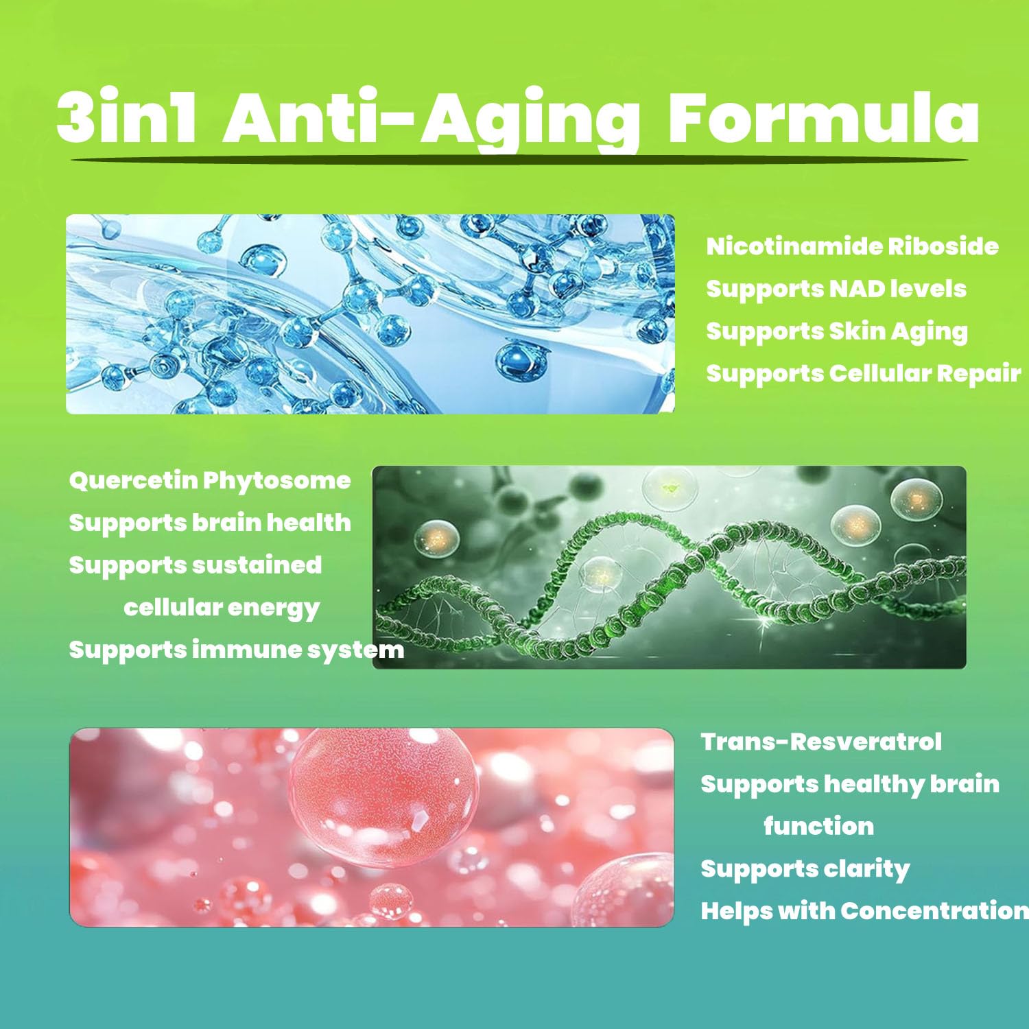 Renyqatt NAD+ Supplement - Liposomal Nicotinamide Riboside - Supplement for Anti-Aging, Energy, Focus - 80 Capsules（1B） Renyqatt Au supplements