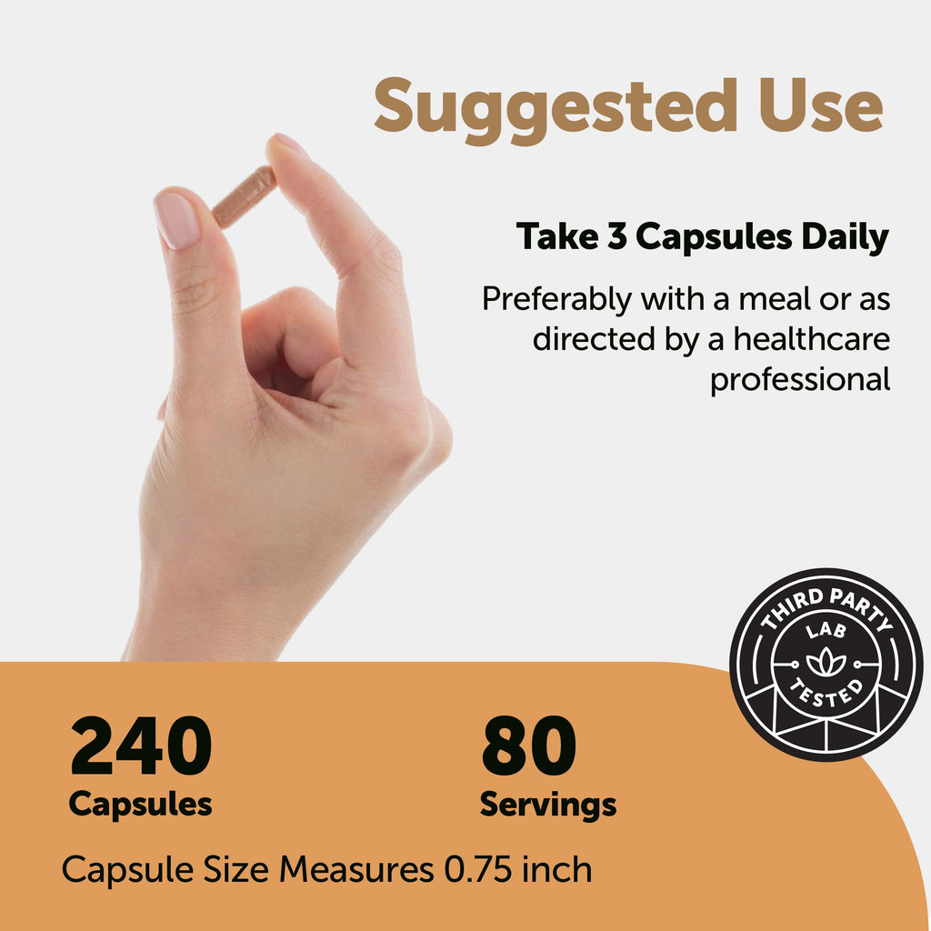 Micro Ingredients Nattokinase 10,000 FU Per Serving (Natural Natto Extract), 240 Vegetarian Capsules | with CoQ10, Turmeric, Aged Garlic & Pine Bark Extract