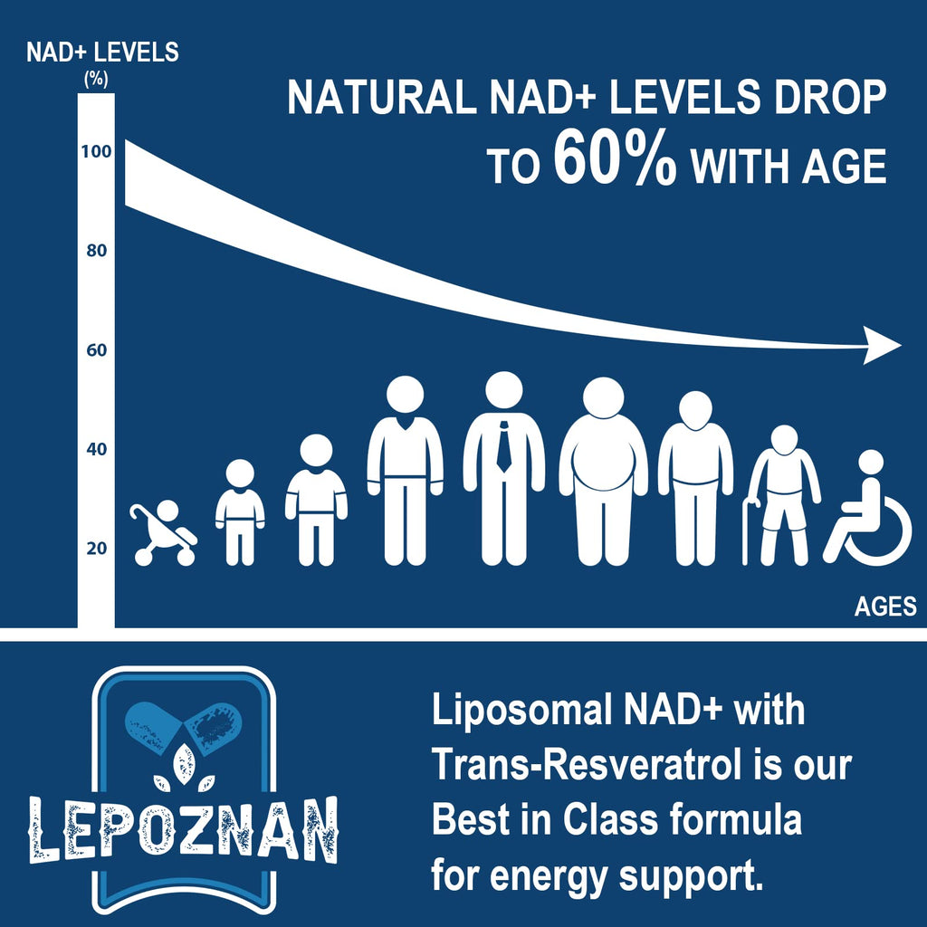 Lepoznan Liposomal NAD+ 500 mg + Trans-Resveratrol 300 mg, Superior Absorption True NAD Supplement Efficient for Cellular Energy Metabolism & DNA Repair, 60 Softgels Lepoznan Au supplements