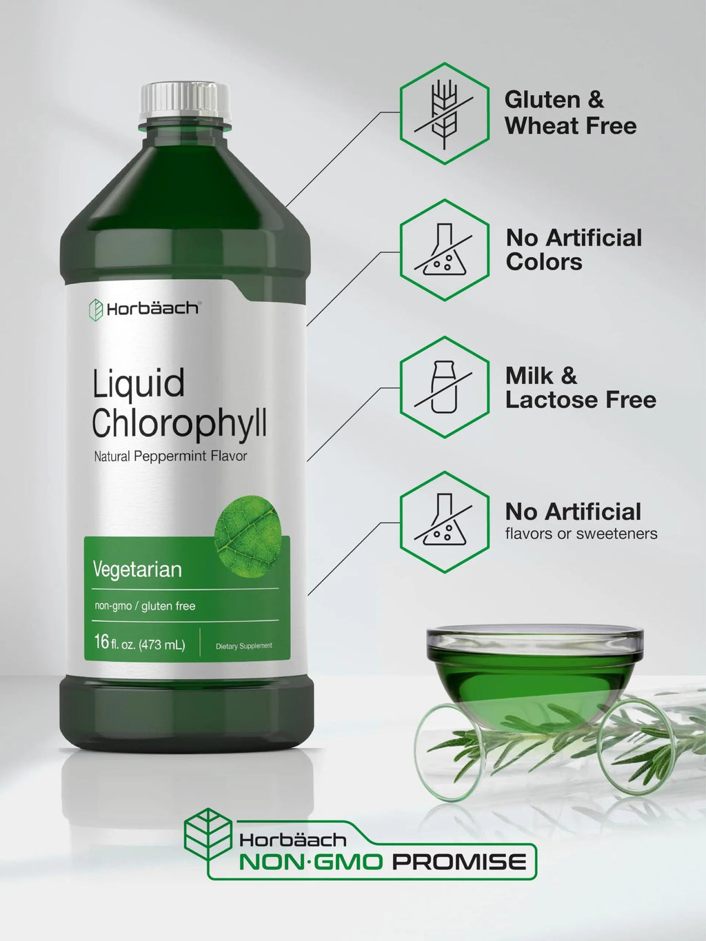 Chlorophyll Liquid Drops 100mg | 32 oz (2 x 16 oz Bottles) | Natural Peppermint Flavor Horbäach Au supplements