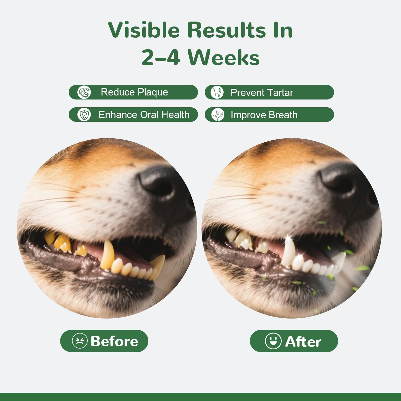 Vetriuntrix Dog Teeth Cleaning Powder, Dental Powder for Dogs Teeth Tartar Remove & Plaque Off, Fresh Breath for Dogs with Natural Plants Blend, Enzymes and Postbiotics, 300g Vetriuntrix Au supplements
