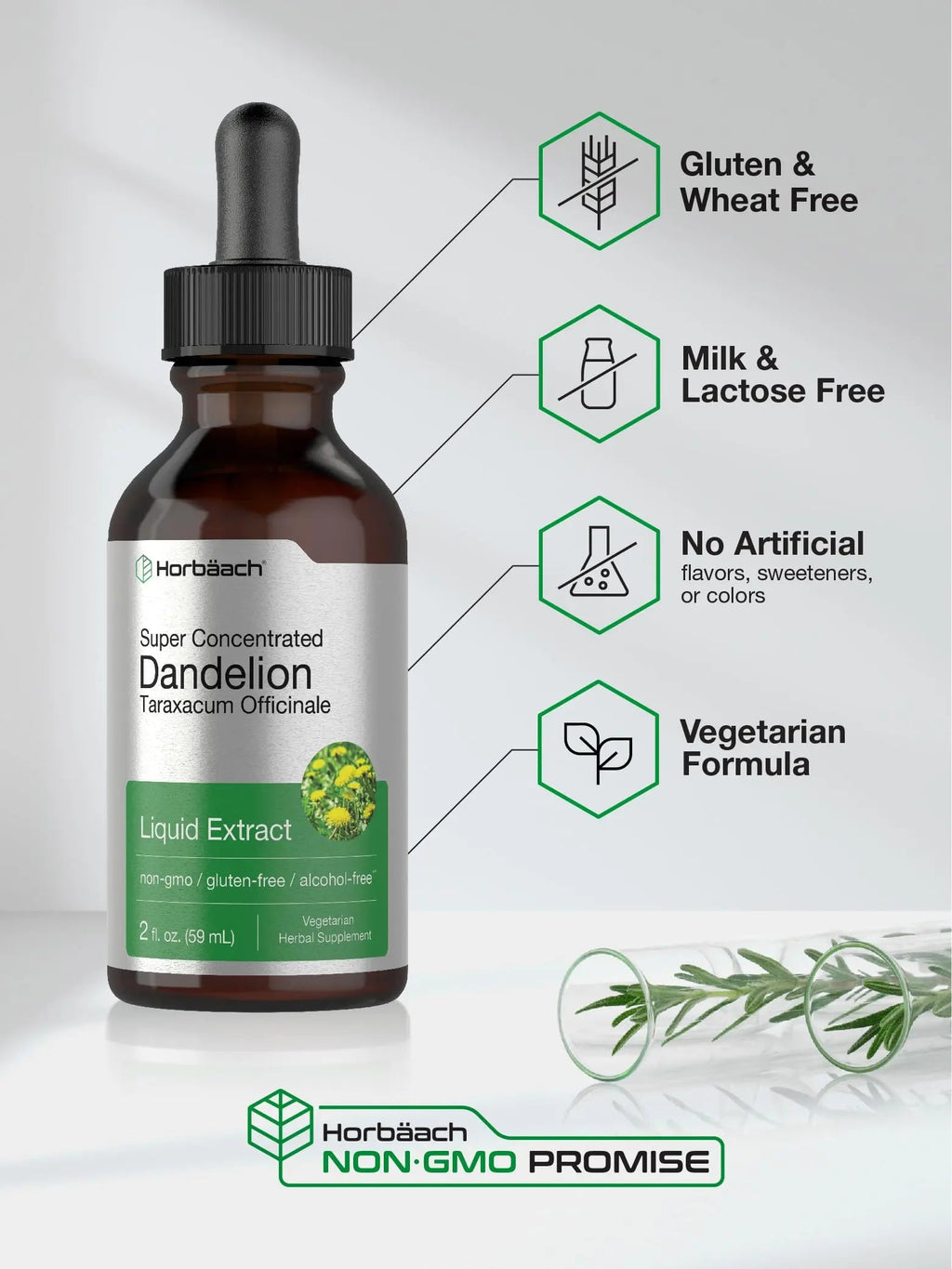 Dandelion Root Extract | 2 fl oz | Super Concentrated | Alcohol Free Liquid Tincture Horbäach Au supplements