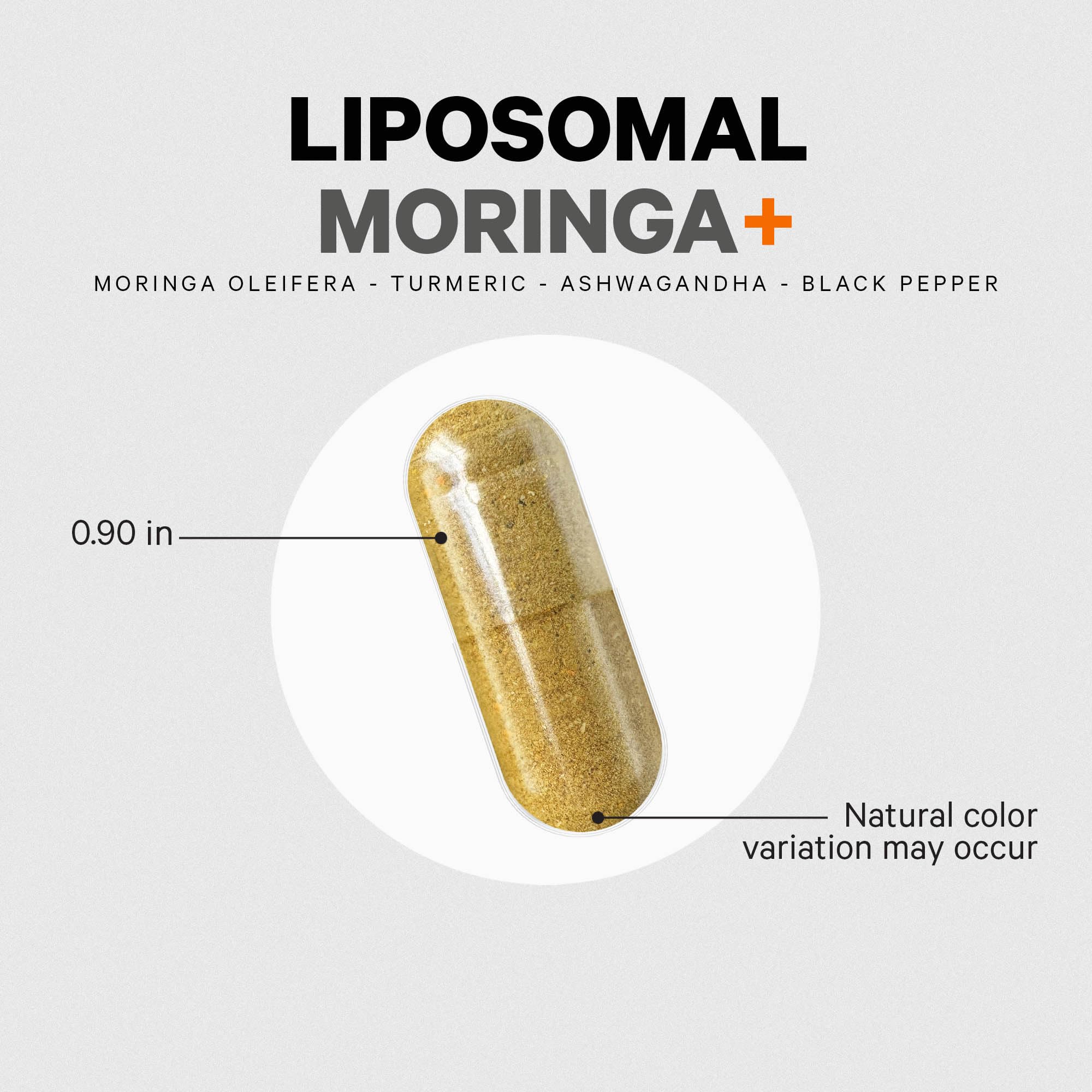 Codeage Liposomal Moringa+ Supplement, 400mg Moringa 50:1 Extract - Turmeric, Ashwagandha, Black Pepper, 3-Month Supply, Vegan Moringa Powder - 180 Capsules Codeage Au supplements